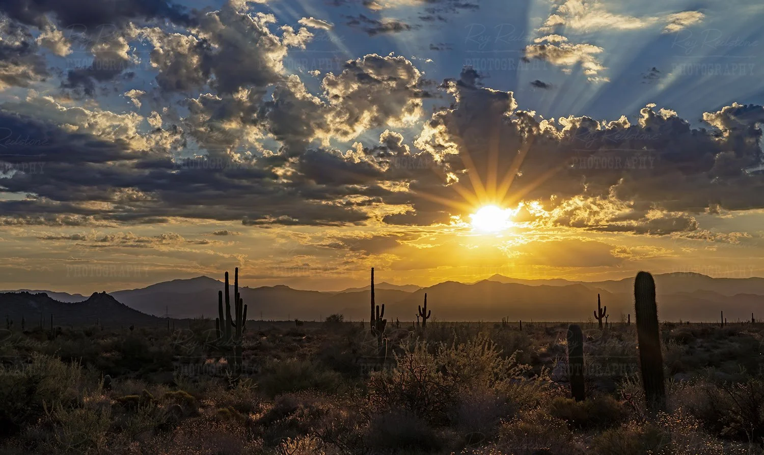Panoramic desert sunrise..