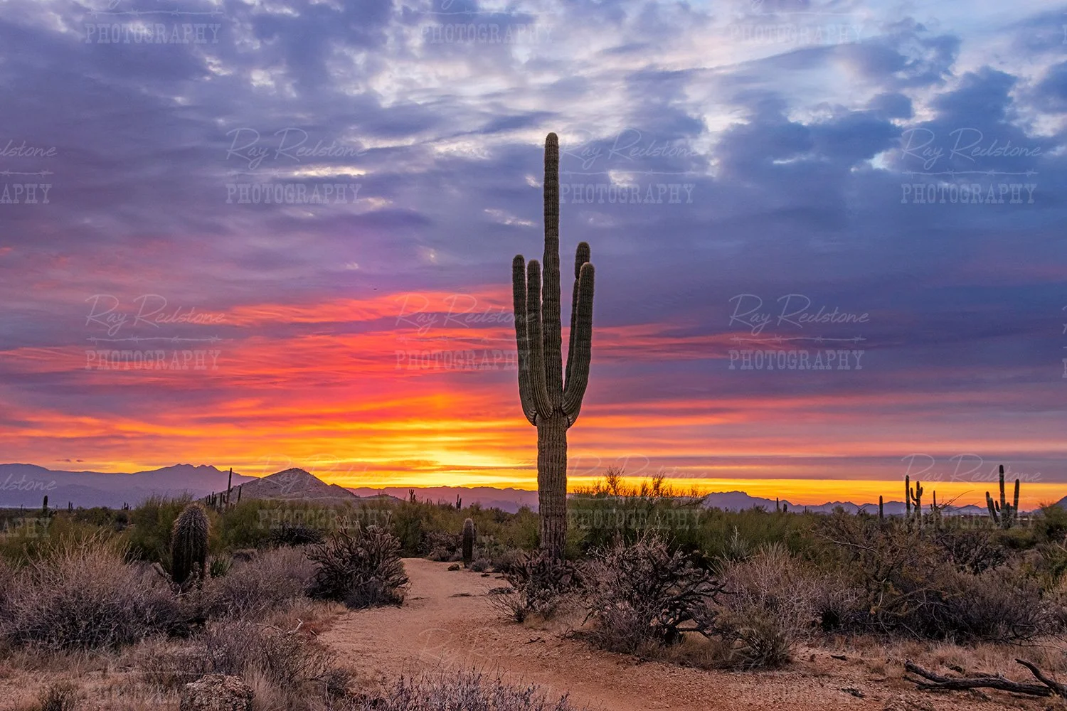 Sunrise Skies Scottsdale