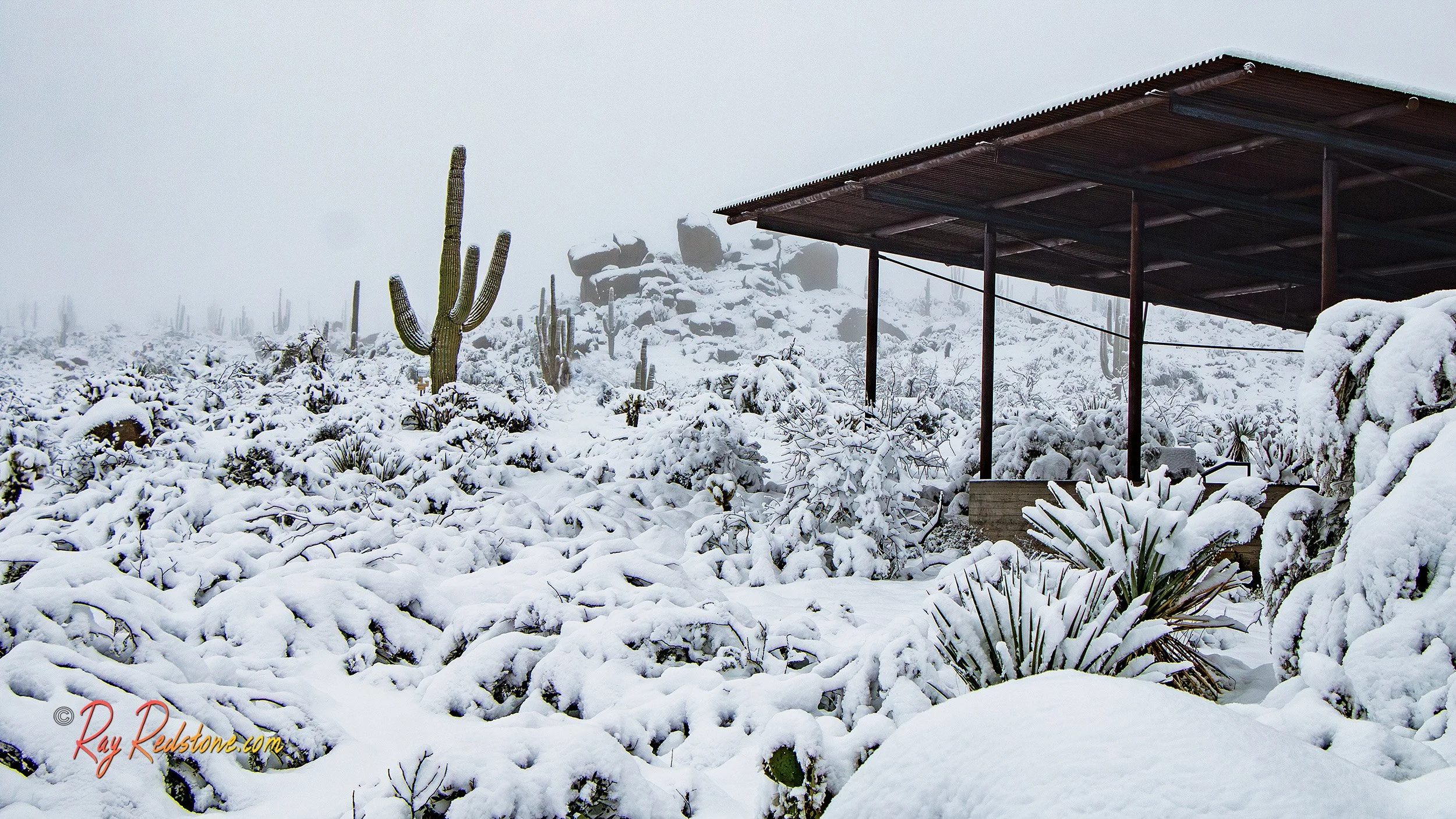 Snow In the Arizona Desert Near Phoenix