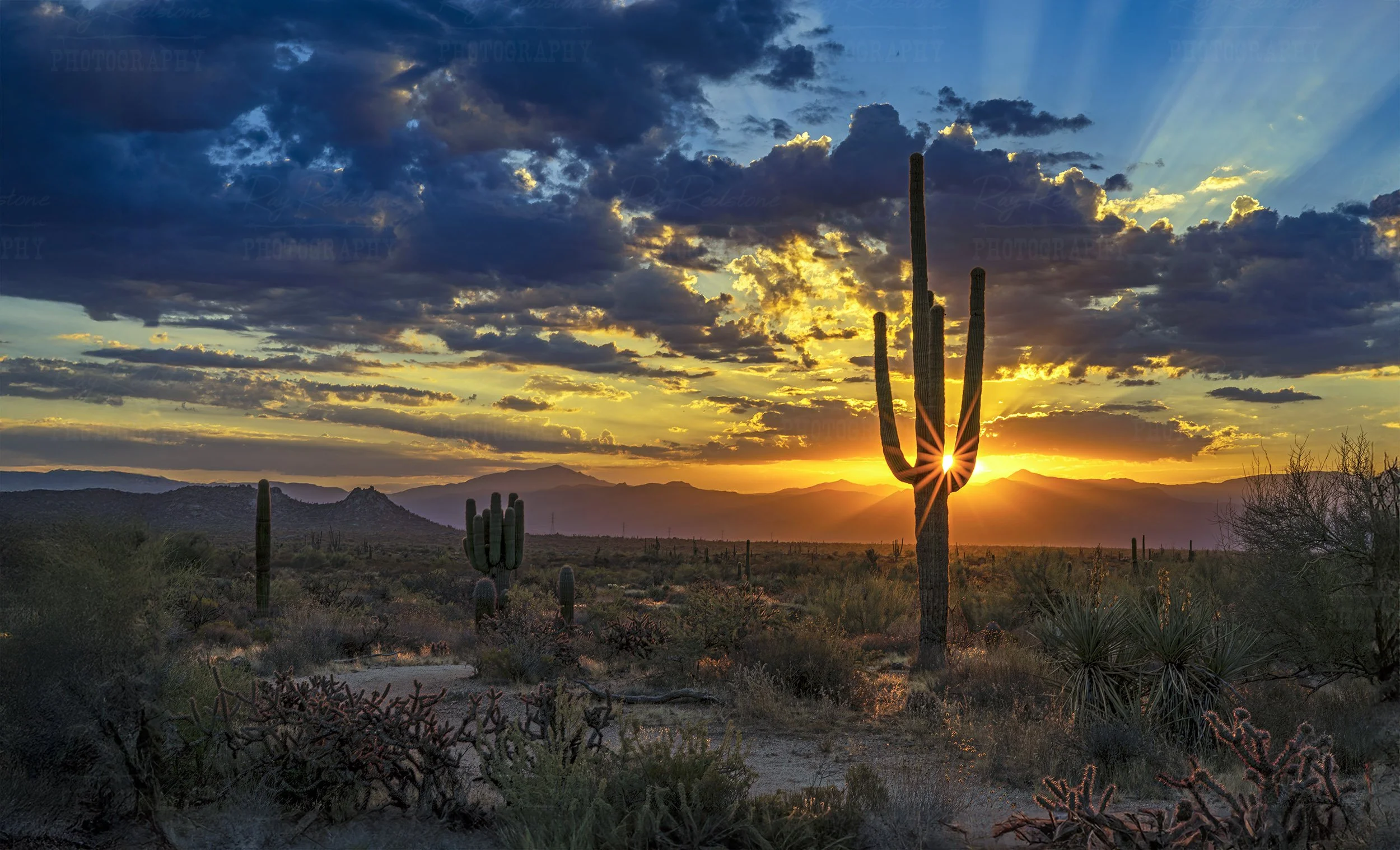 Classic AZ Desert Sunrise 