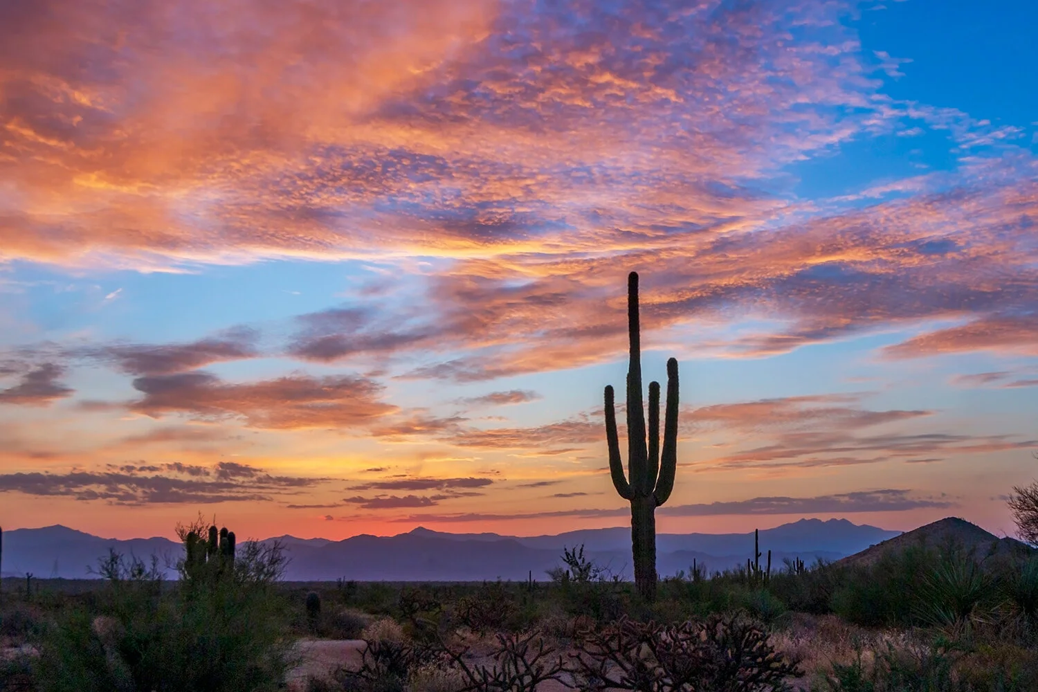 Southwest USA Sunsets & Sunrises Stock Images | Buy Photos