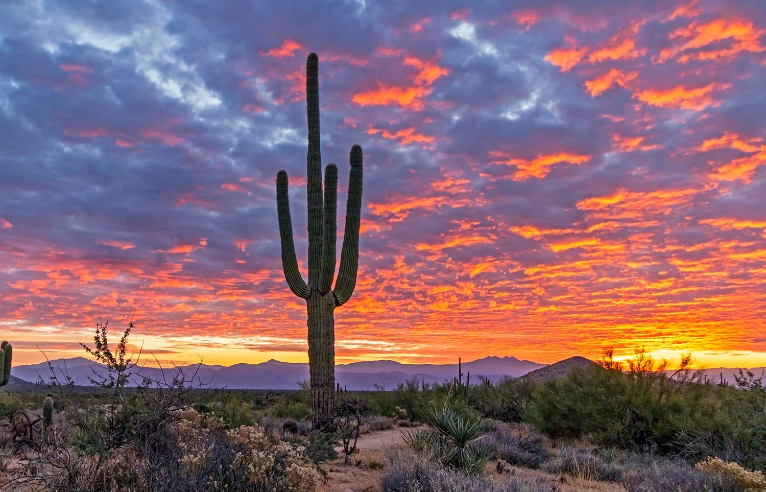Southwest USA Sunsets & Sunrises Stock Images | Buy Photos