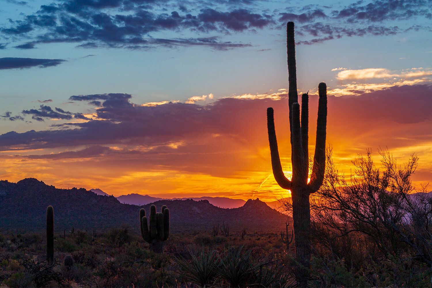 Southwest USA Sunsets & Sunrises Stock Images | Buy Photos