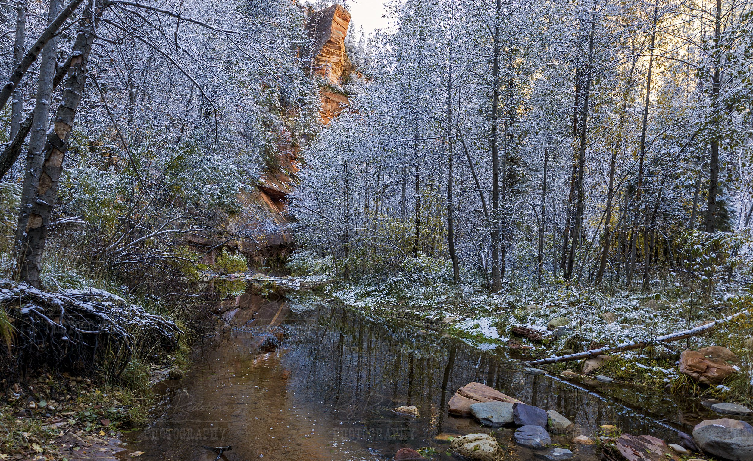 Snow On The West Fork Of Oak Creek In Sedona