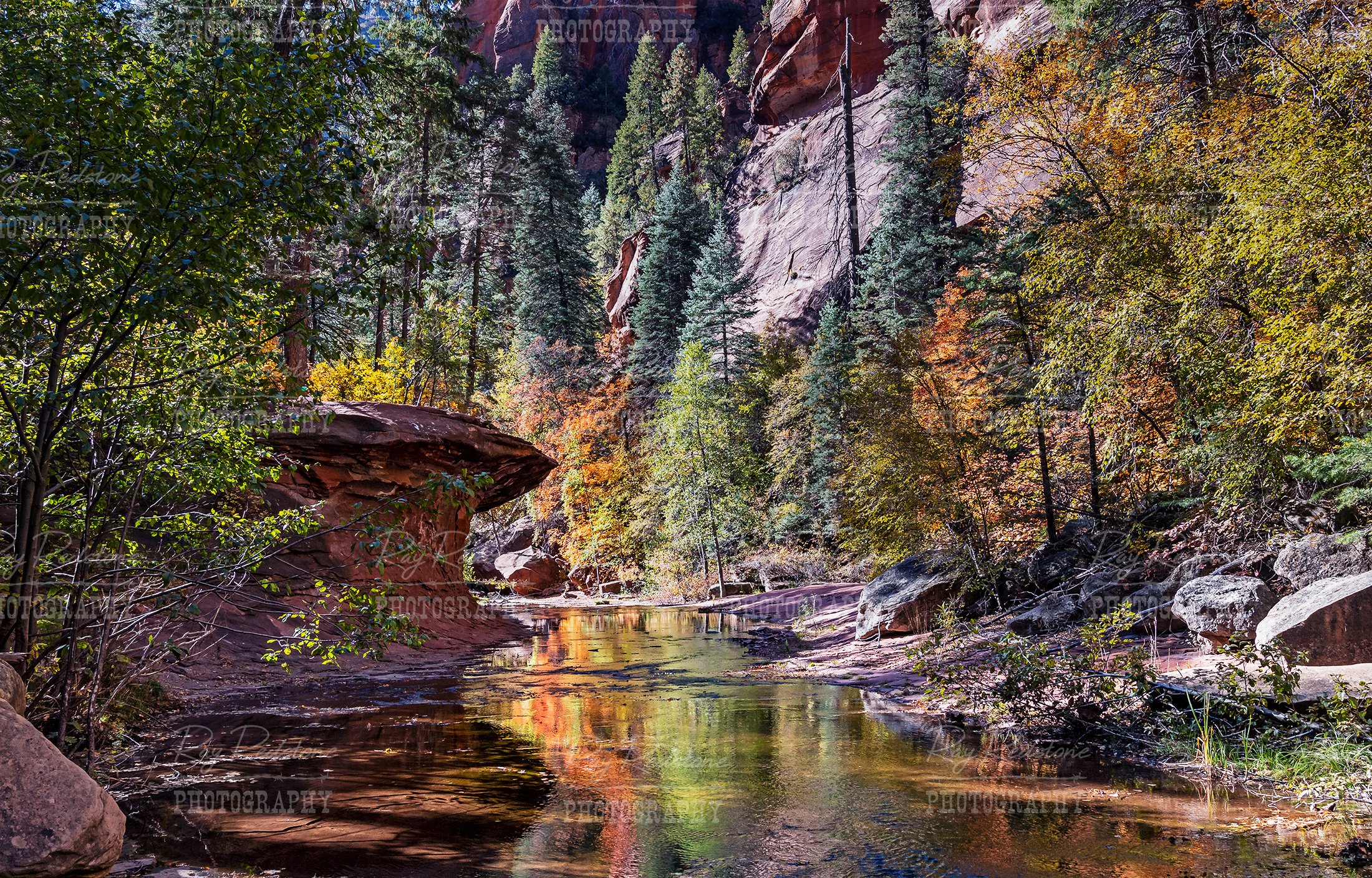 West Fork Of Oak Creek At Fall Time