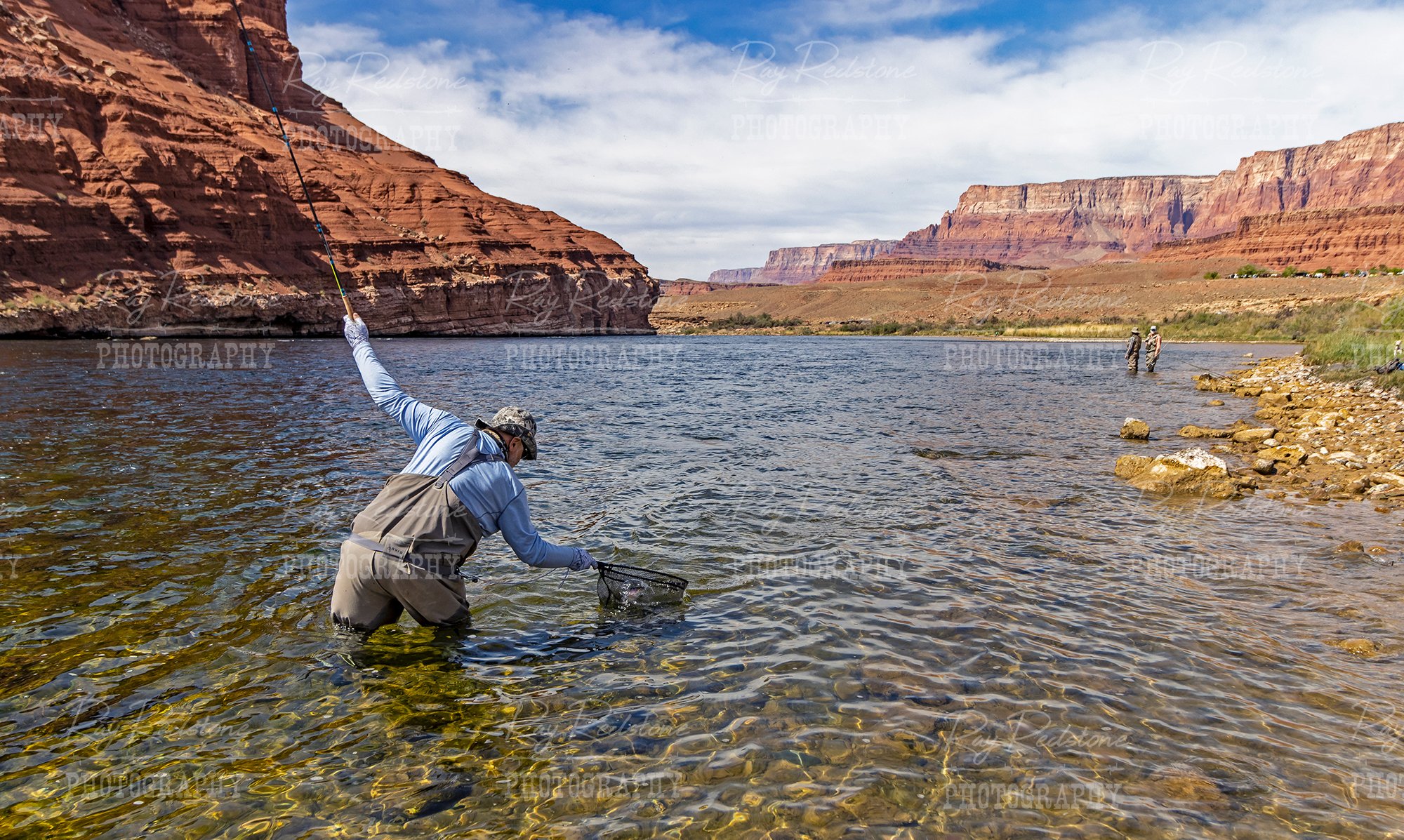 Man Fly Fishing On Colorado River At Lee's Ferry Arizona