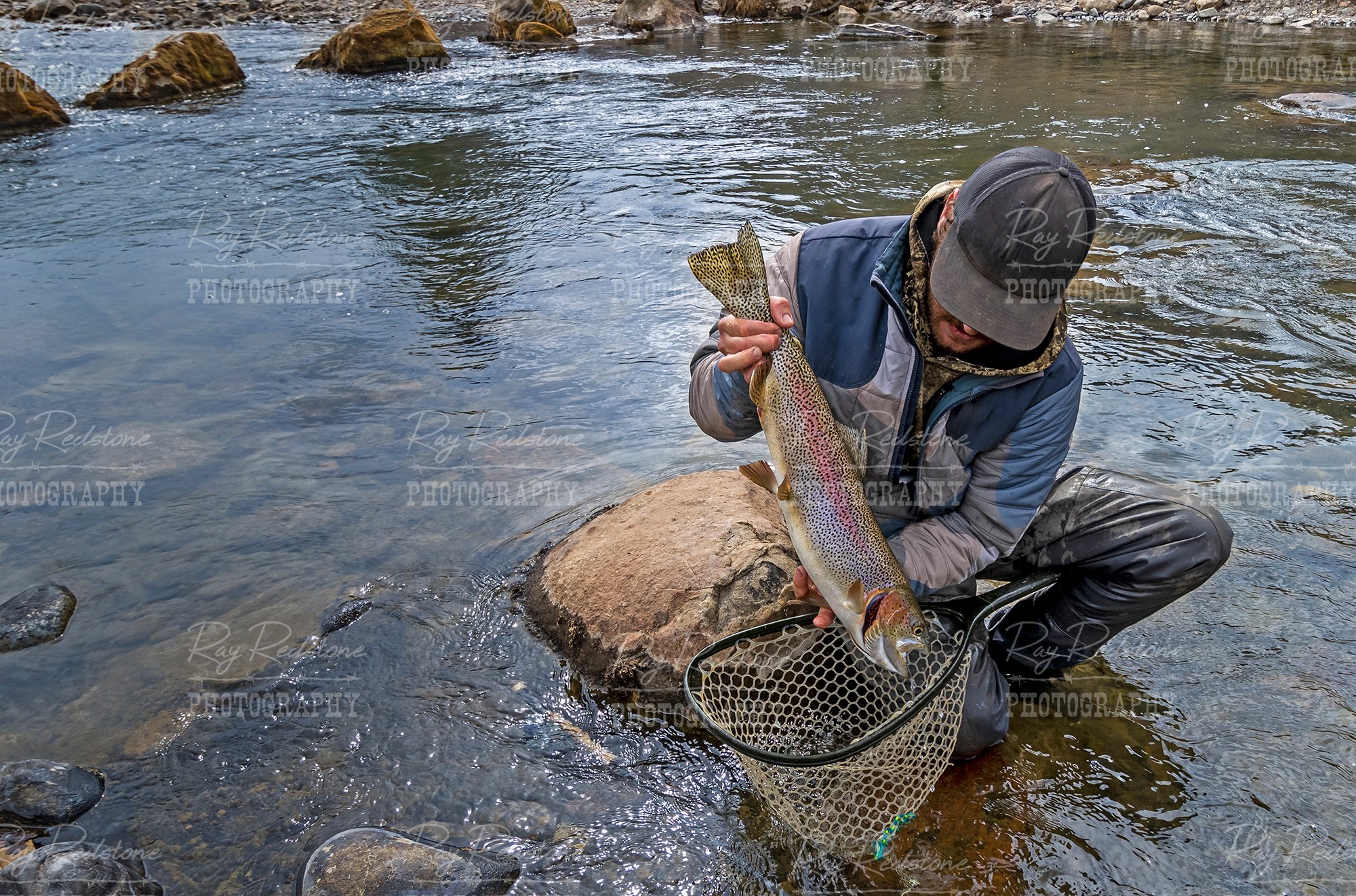 uncompahgre-rainbow-trout1a_2000-wm-NL_-IMG_2945.jpg