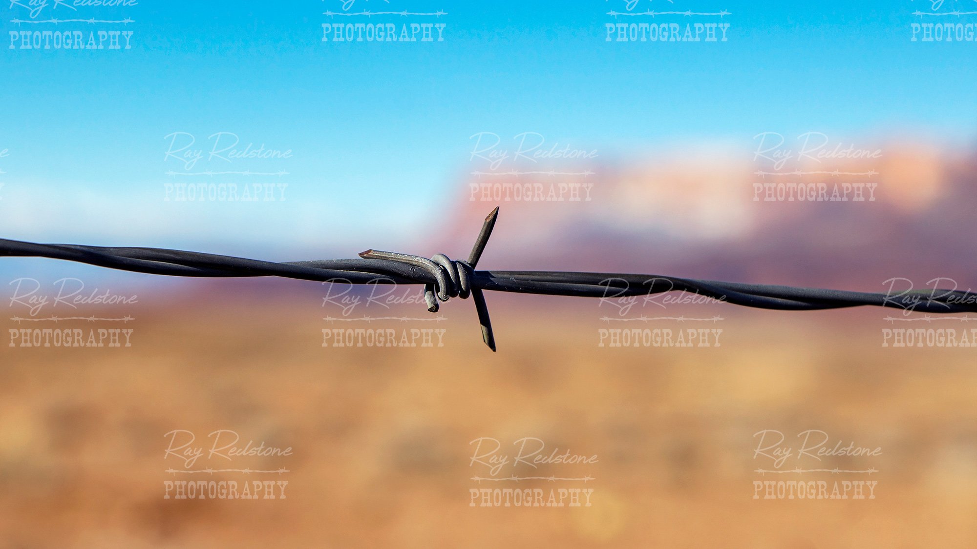 barbwire1_2000-wm-IMG_5763.jpg