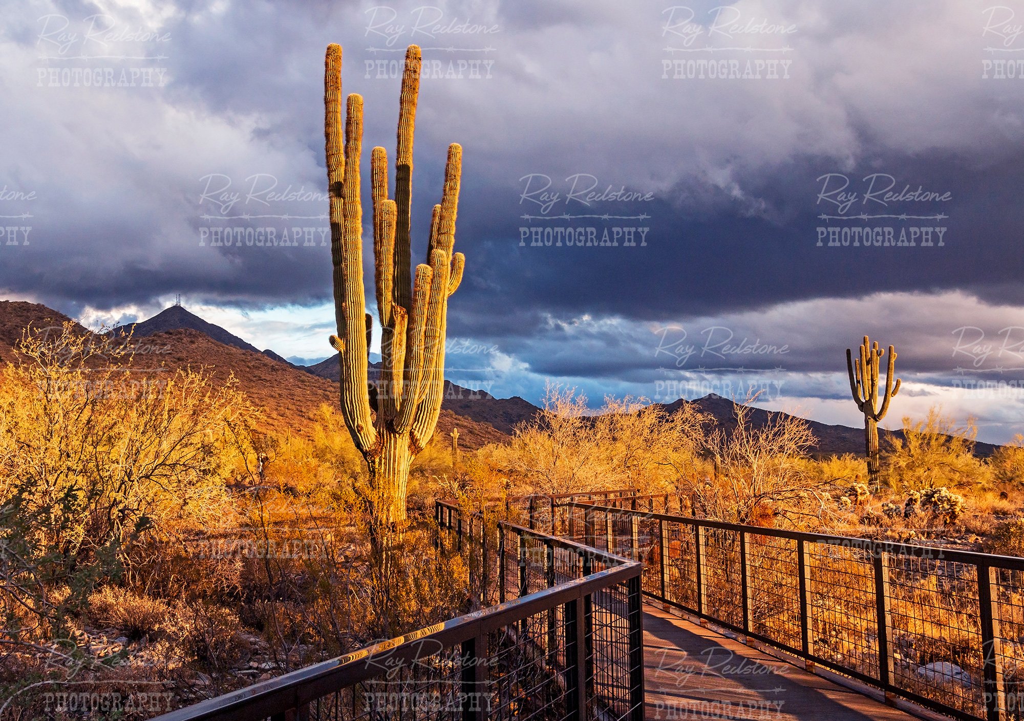 gateway-trail-scottsdale-IMG_2000-wm-5136.jpg