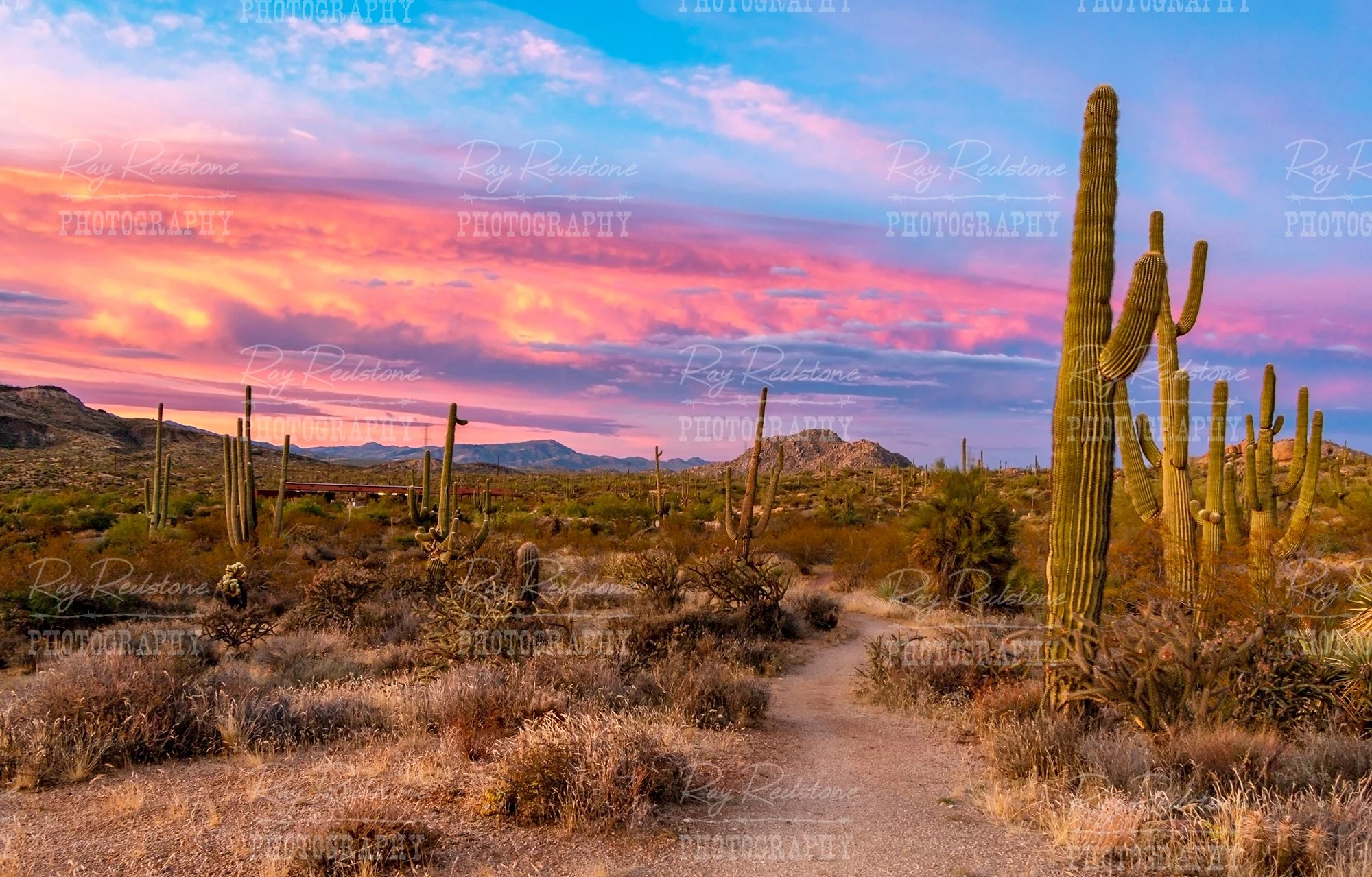 Arizona Desert Sunrise & Sunset Images For Sale, Image Digital ...