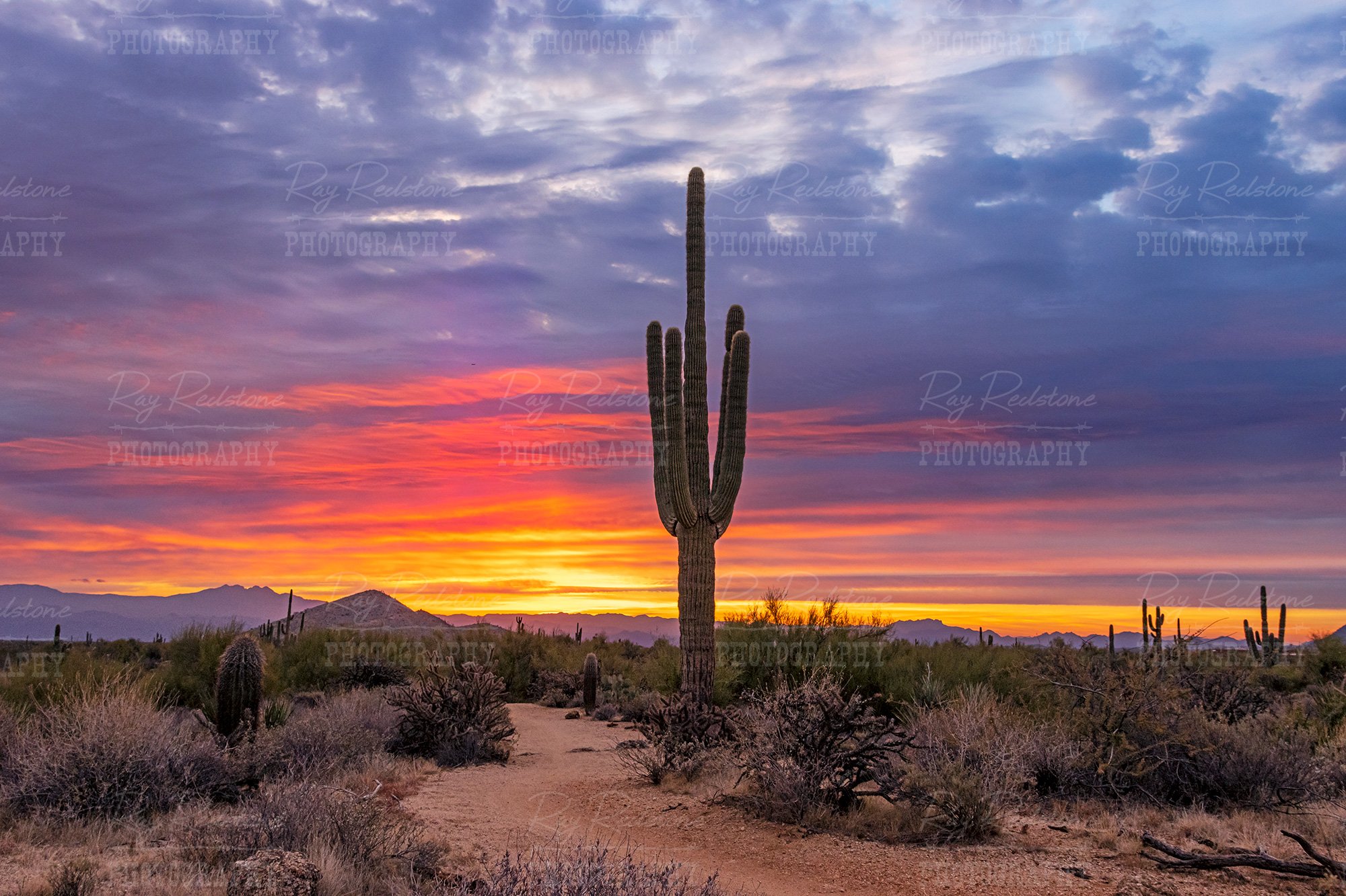 Arizona Desert Sunrise & Sunset Images For Sale | Photos | Pictures