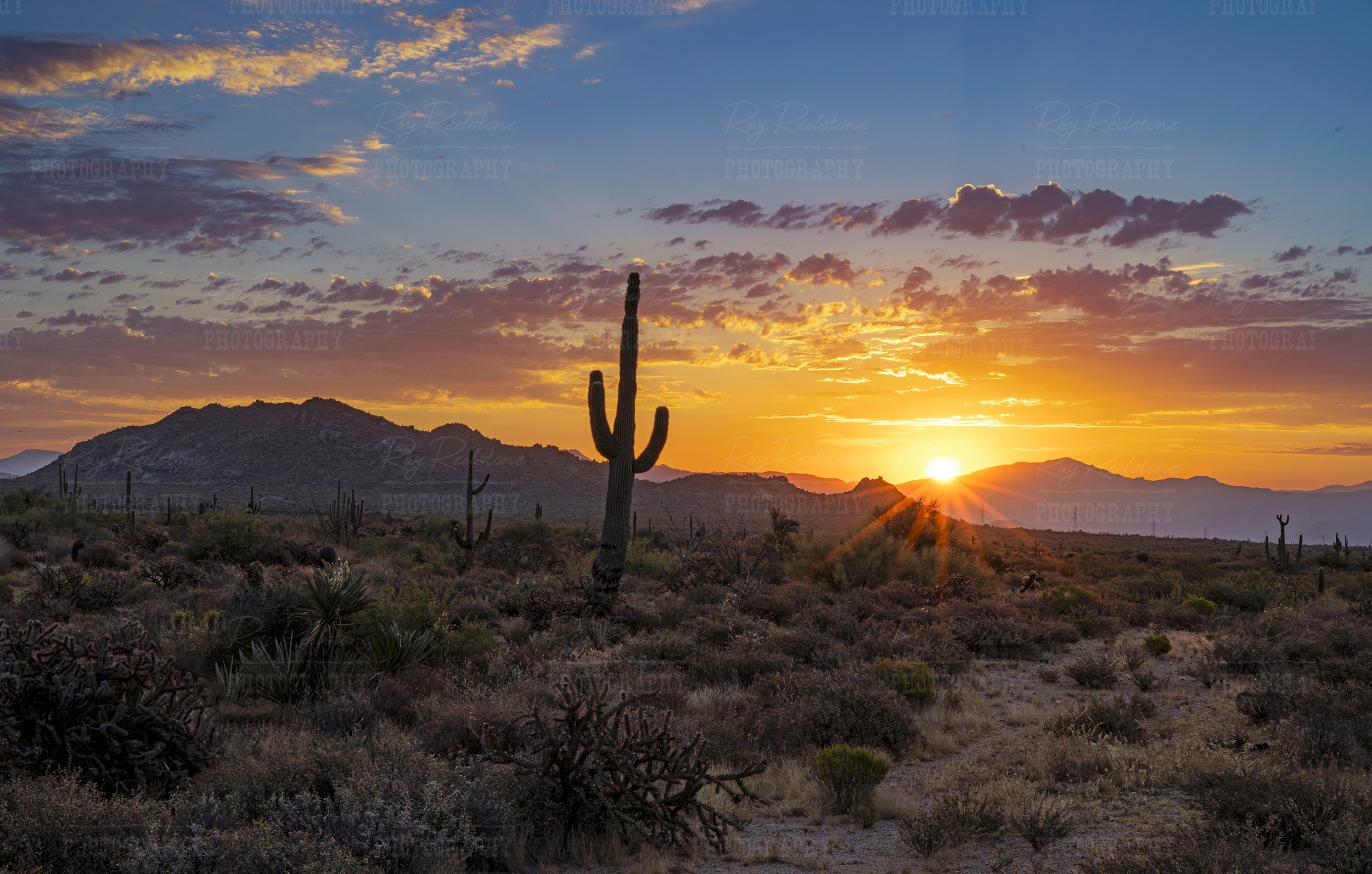 2023 Desert Southwest Heatwave Sunrise Image