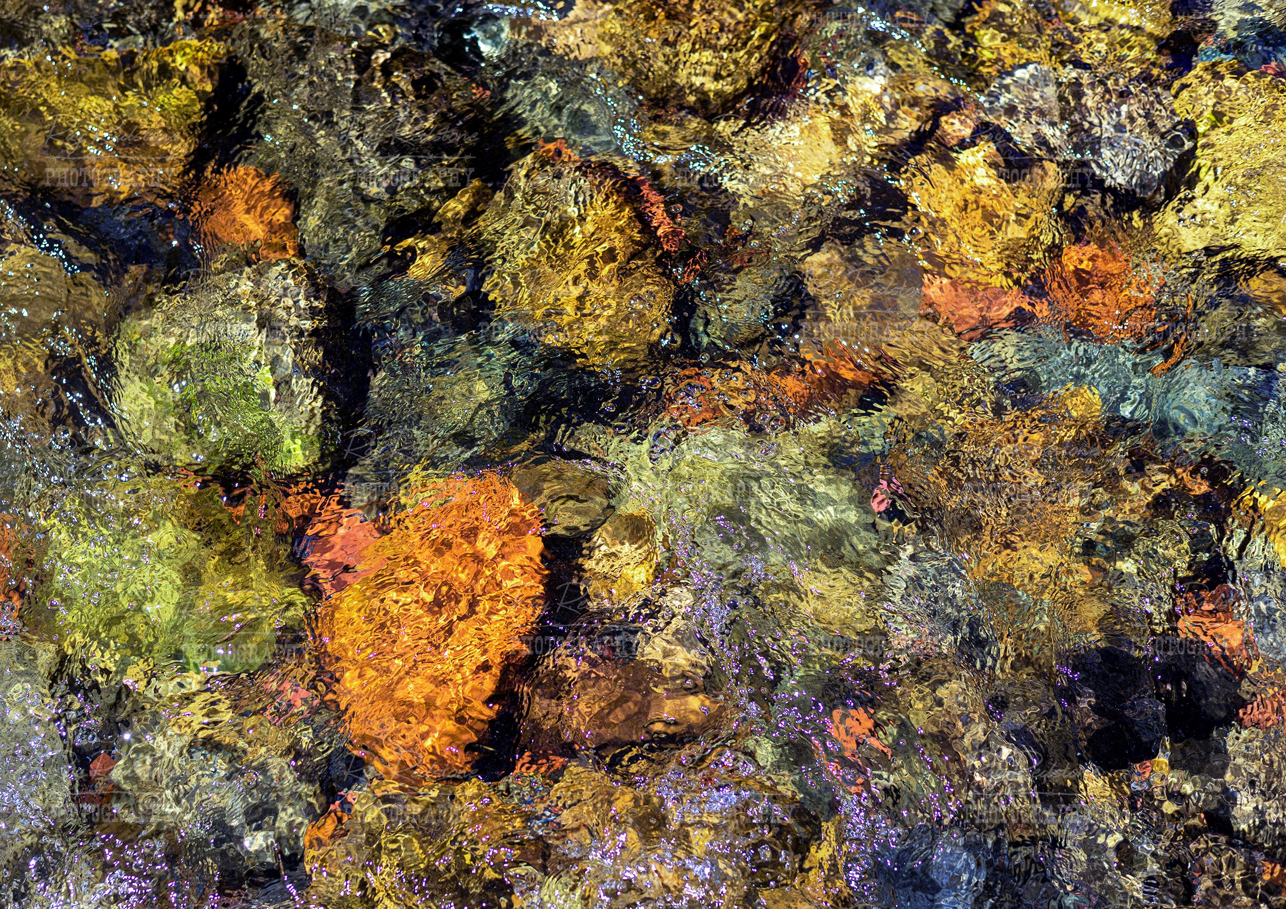 Close Up View Of Colorful Stream Bottom