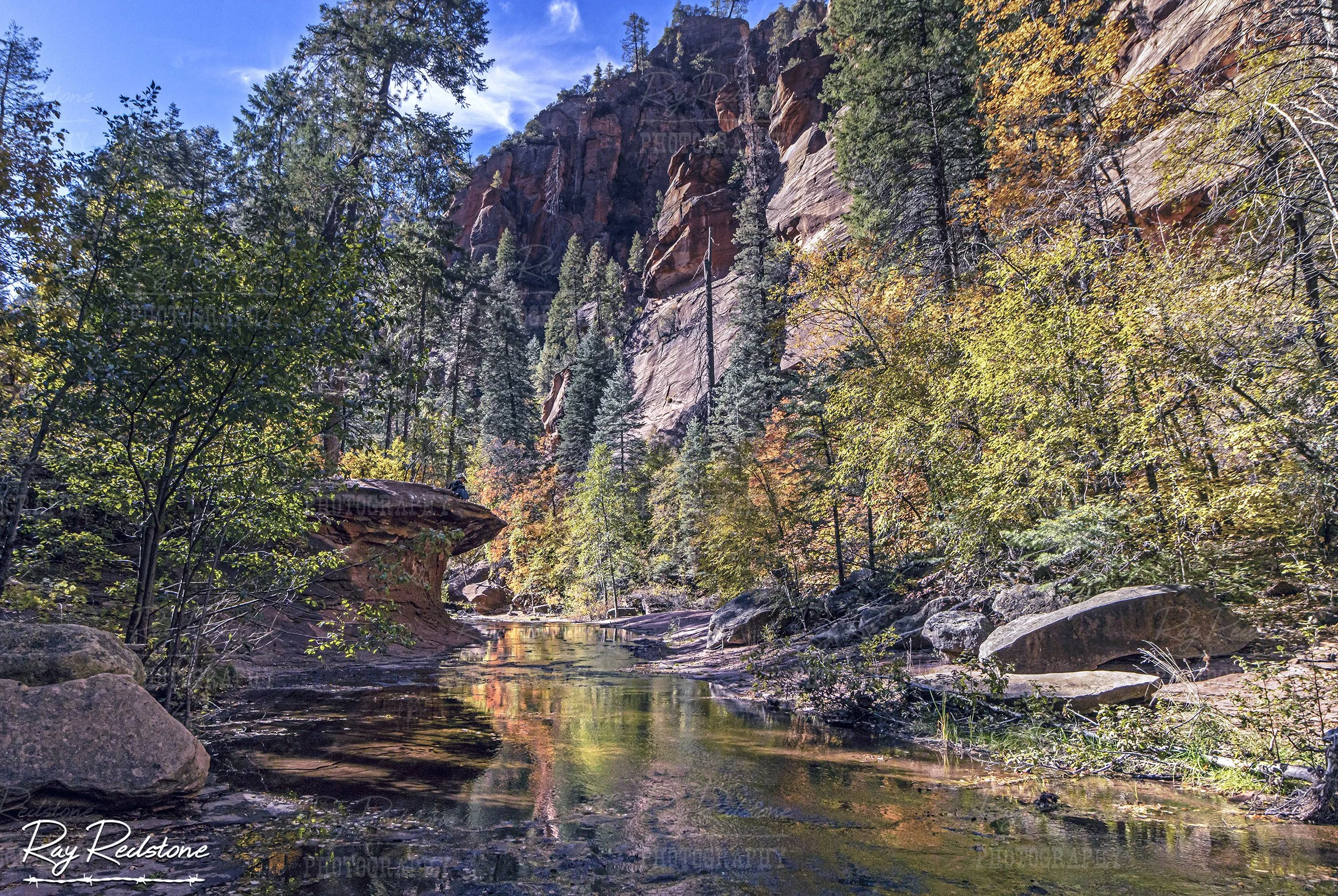 The West Fork Of Oak Creek During Fall Time
