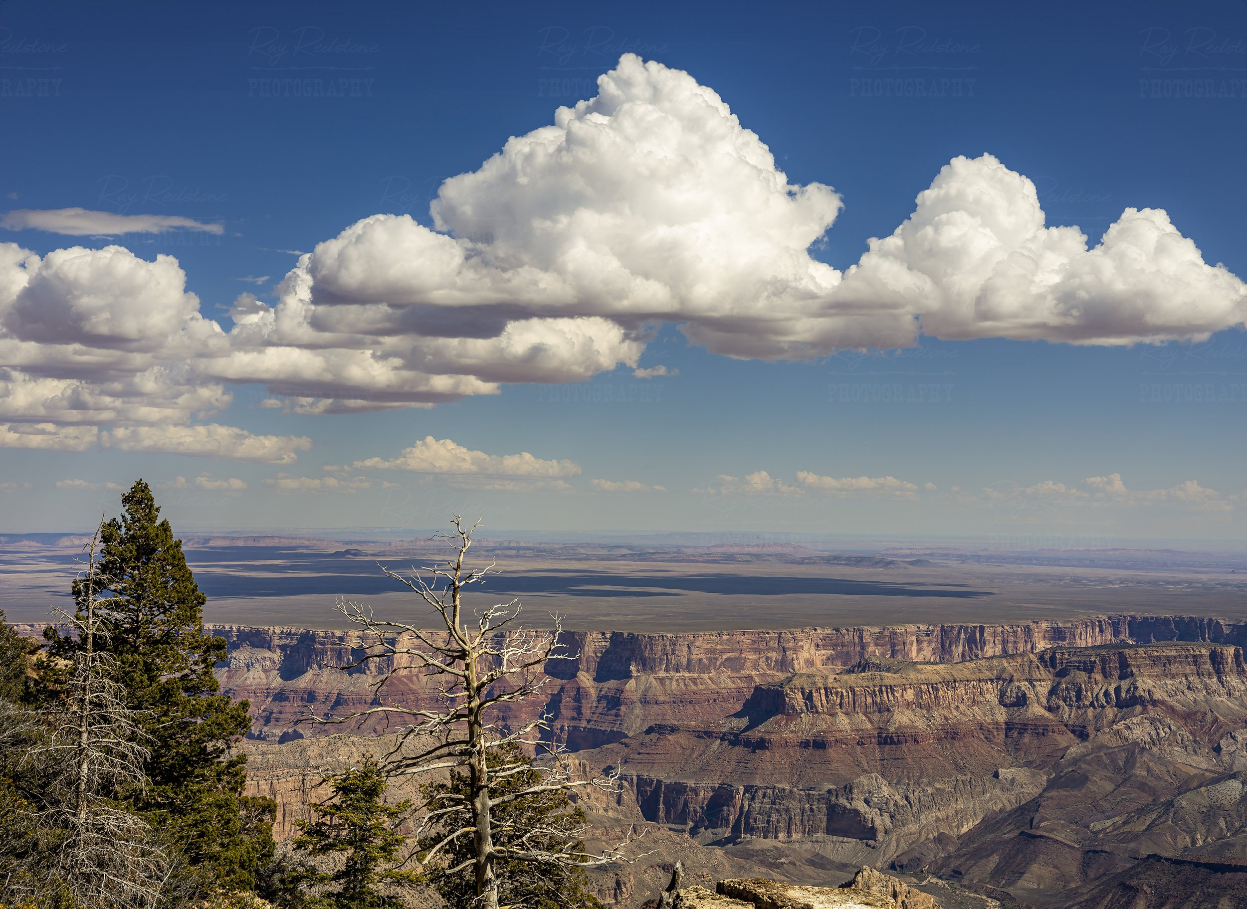 North Rim Of Grand Canyon Landscape With Big Clouds