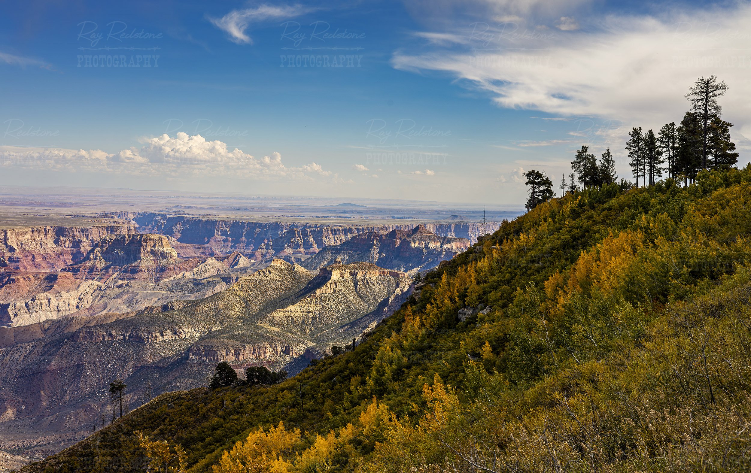 Fall Scenery On The North Rim Of Grand Canyon 2023