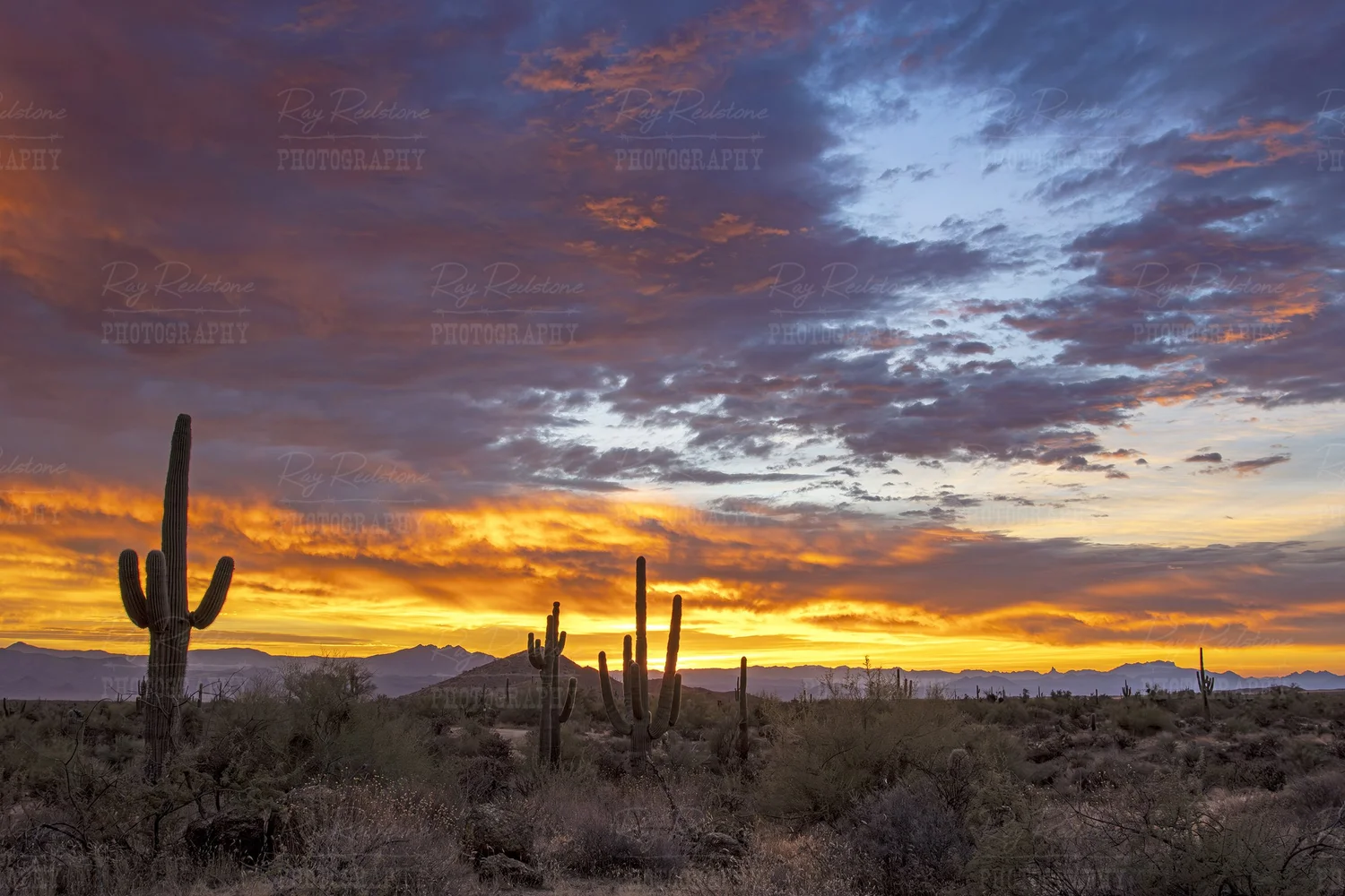 Arizona Desert Sunrise & Sunset Images For Sale, Image Digital ...