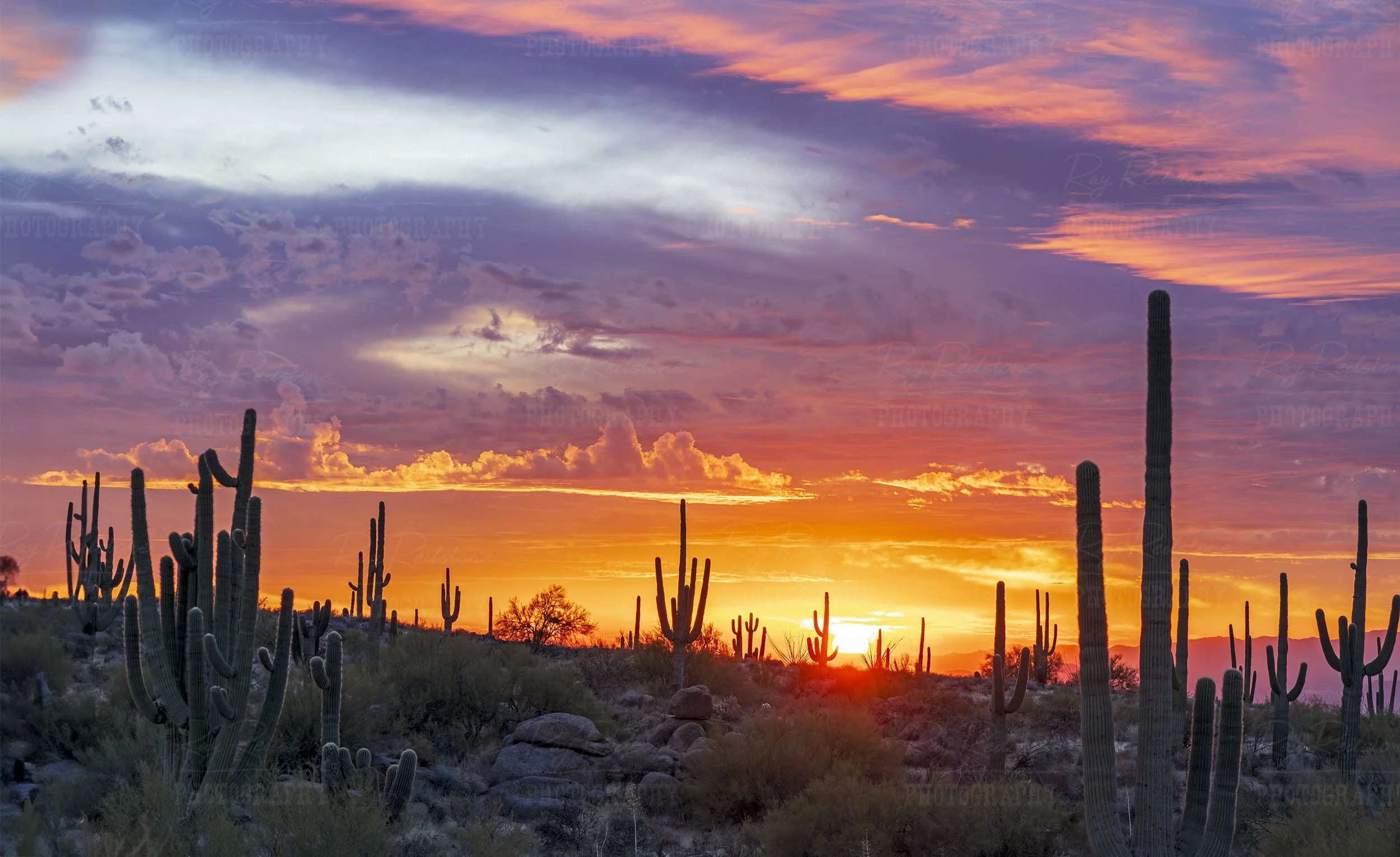 Arizona Desert Sunrise & Sunset Images For Sale, Image Digital ...