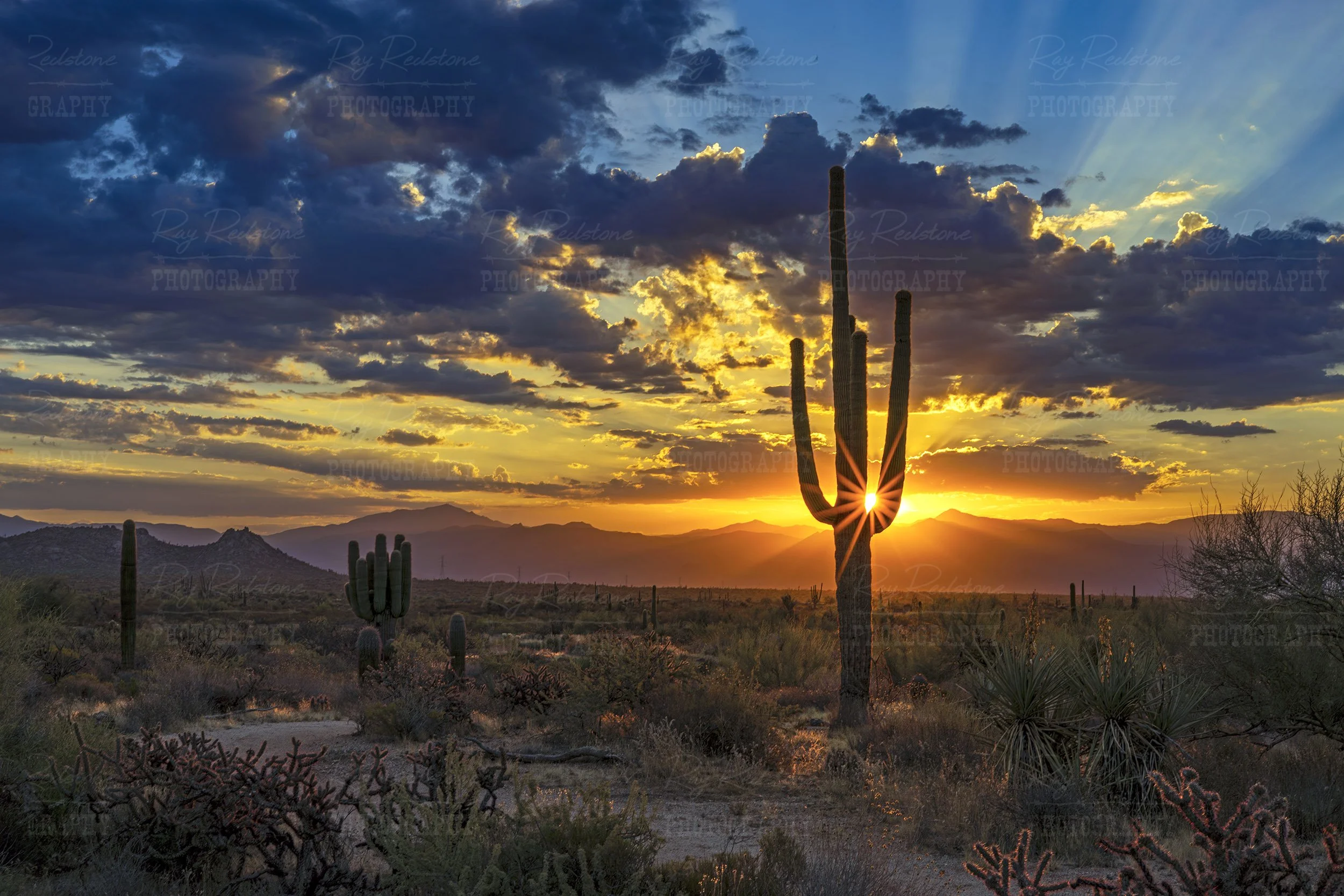 Arizona Desert Sunrise & Sunset Images For Sale, Image Digital ...