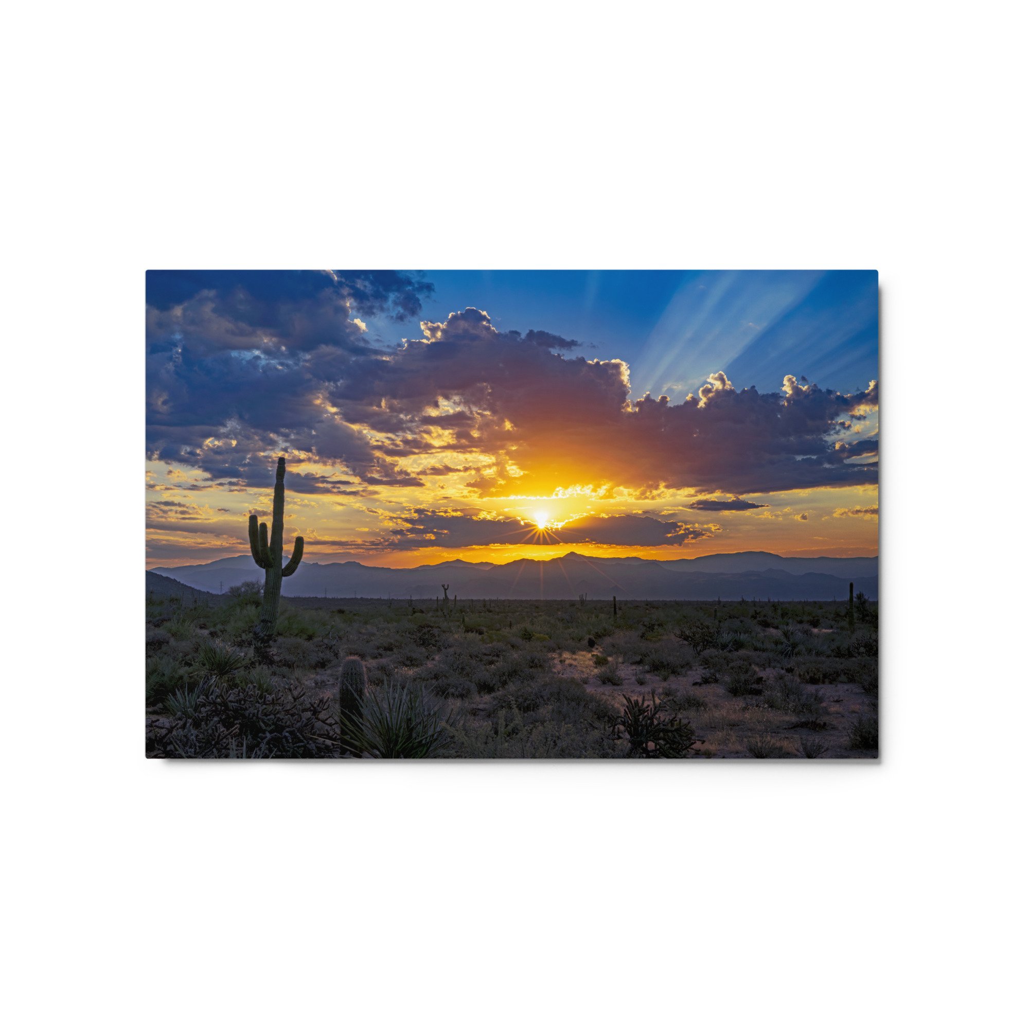 glossy-metal-print-(in)-white-20x30-front-659746e25234b.jpg