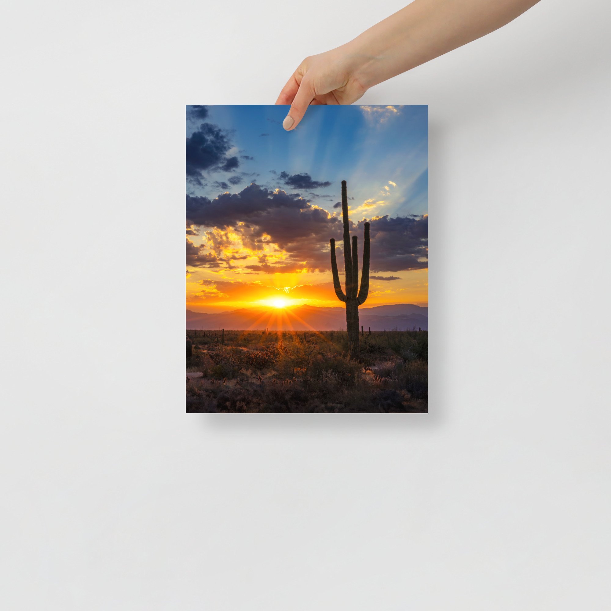 premium-luster-photo-paper-poster-(in)-11x14-front-65a4717d2bc35.jpg