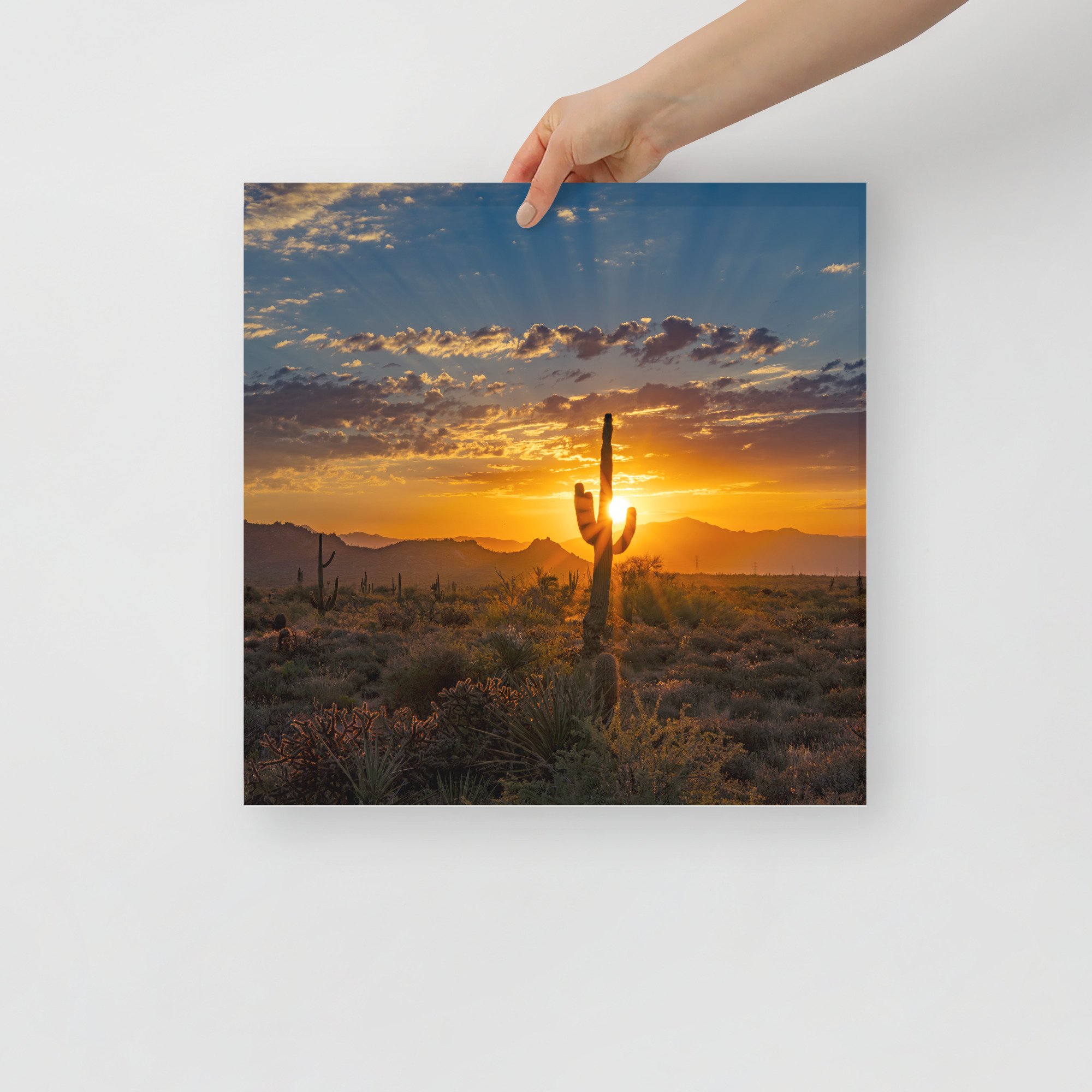 premium-luster-photo-paper-poster-(in)-16x16-front-65ac564fa1a7a.jpg