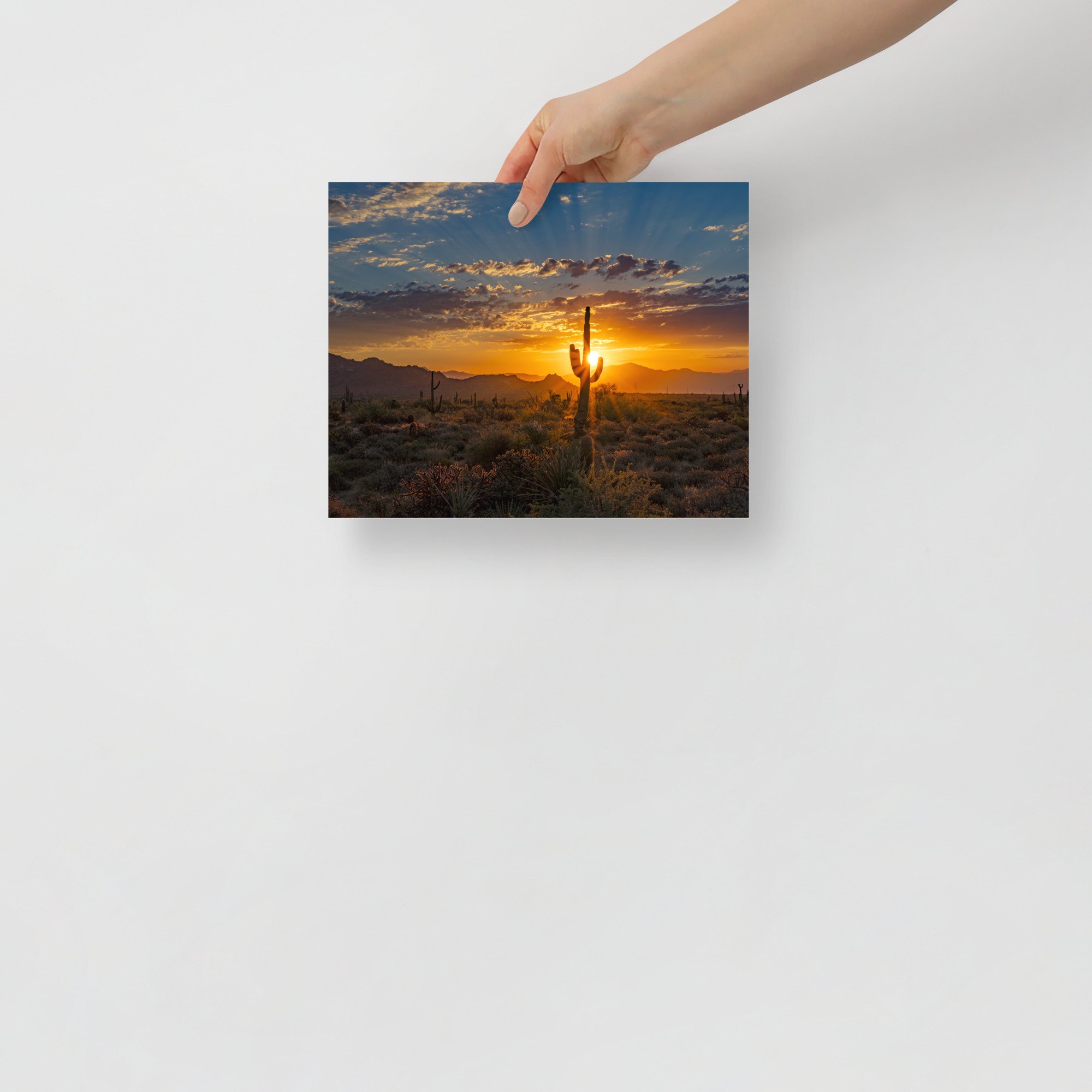 premium-luster-photo-paper-poster-(in)-8x10-front-65ac564fa1d98.jpg