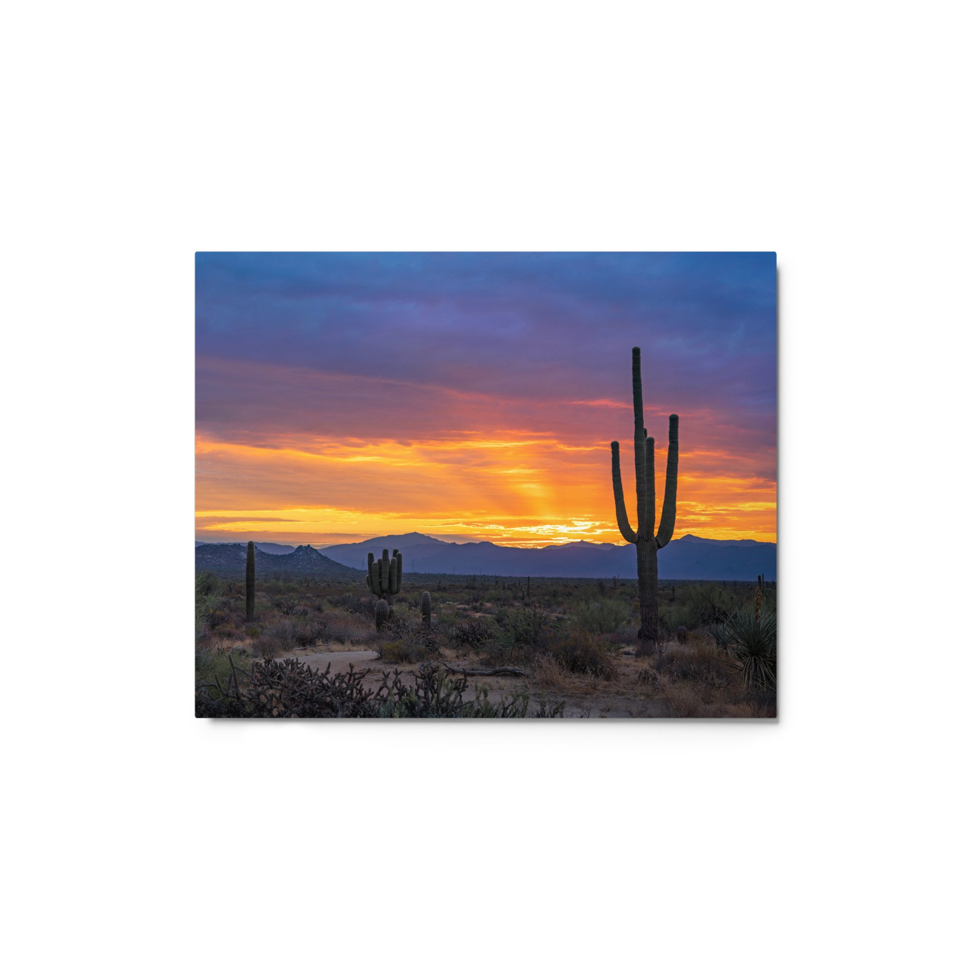 glossy-metal-print-(in)-white-8x10-front-65ad9373f4198.jpg