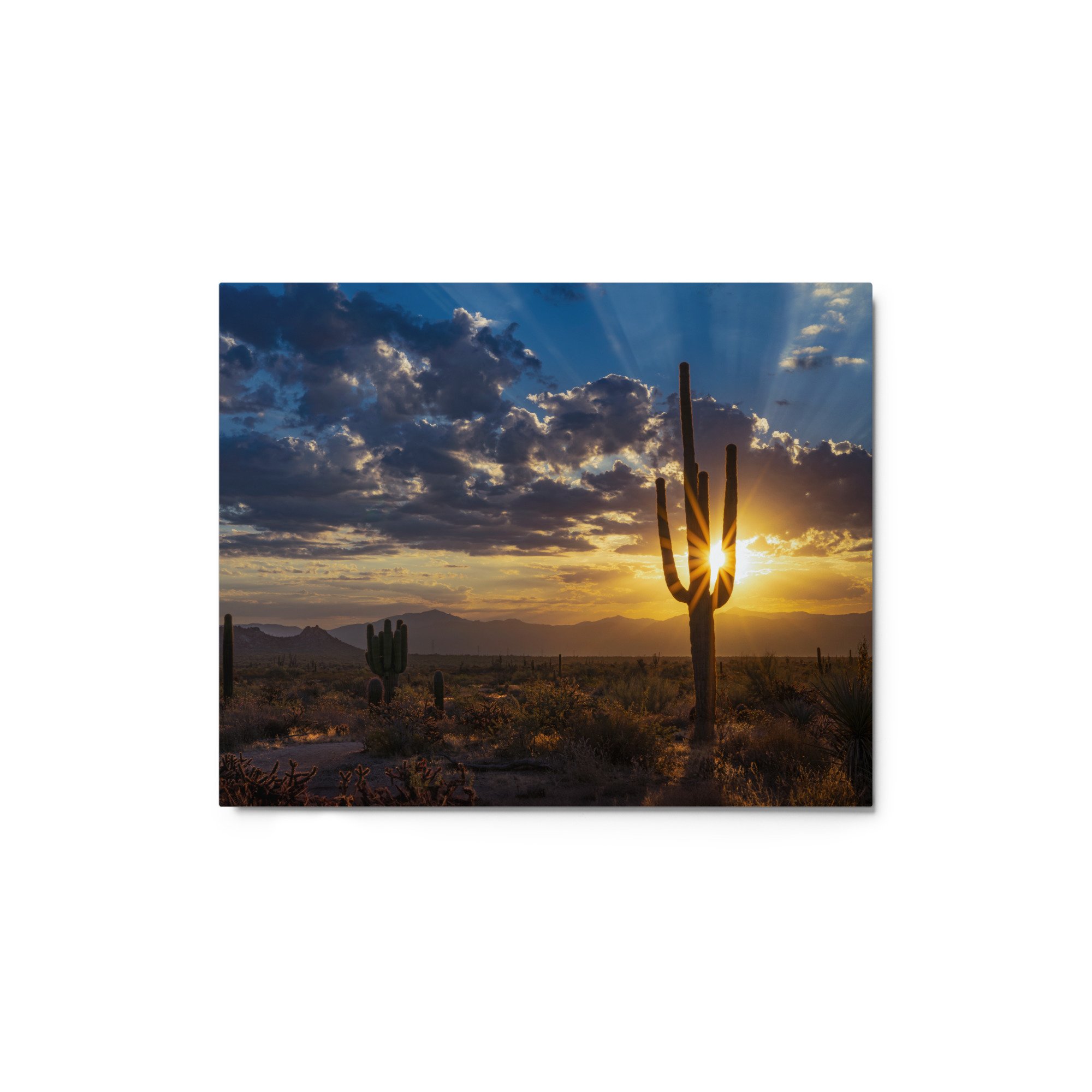 glossy-metal-print-(in)-white-8x10-front-65ad98d9f0a1d.jpg