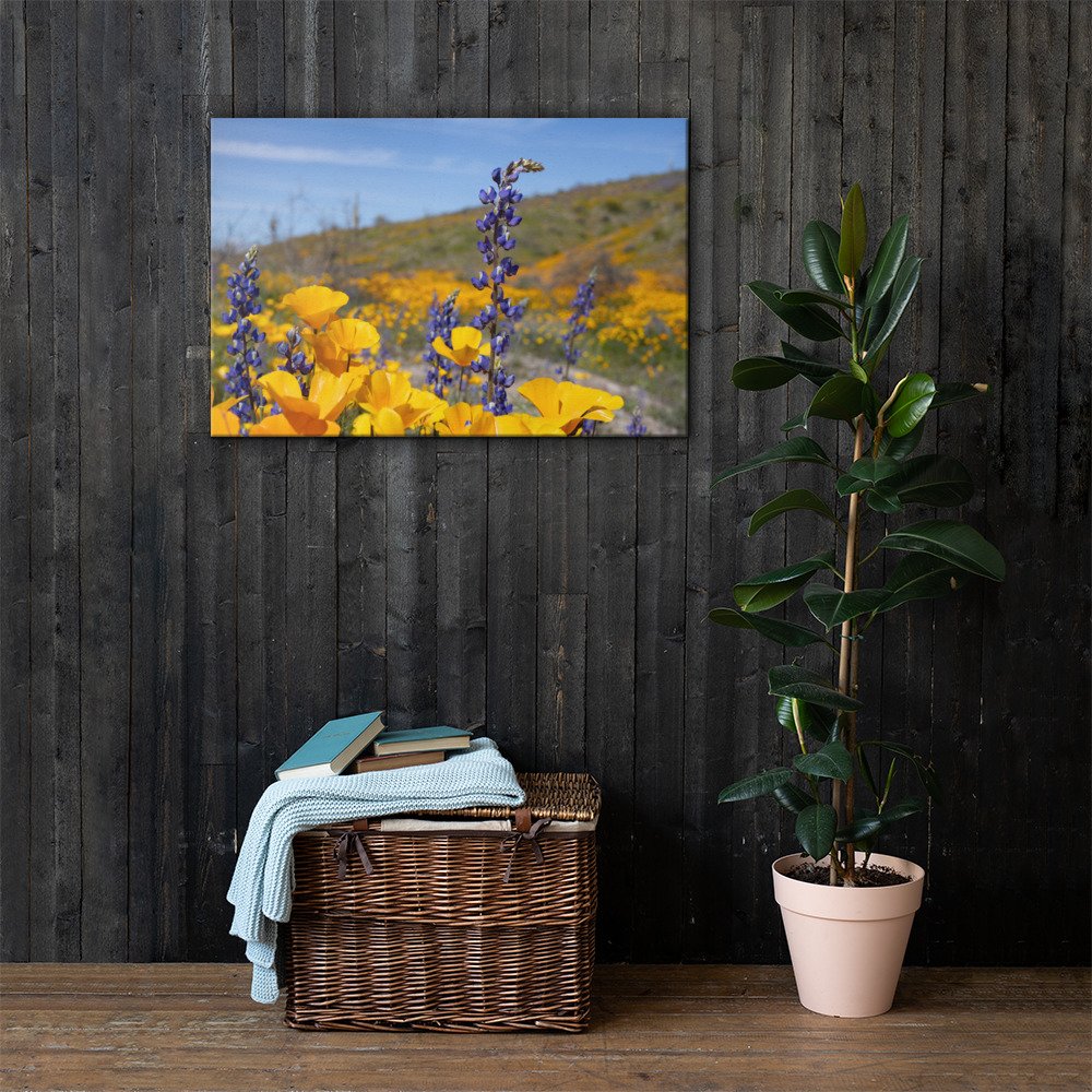 canvas-(in)-24x36-lifestyle-1-65b1d2f5bbd63.jpg