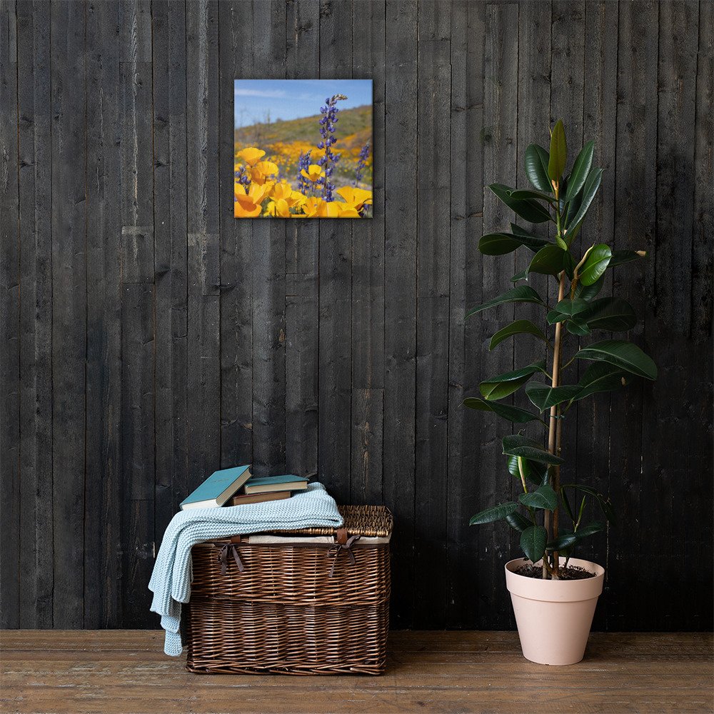 canvas-(in)-16x16-lifestyle-1-65b1d2f5bcafe.jpg