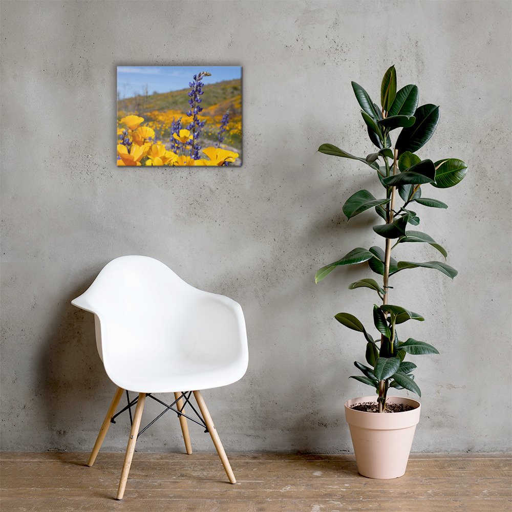 canvas-(in)-16x20-lifestyle-2-65b1d2f5bcc87.jpg