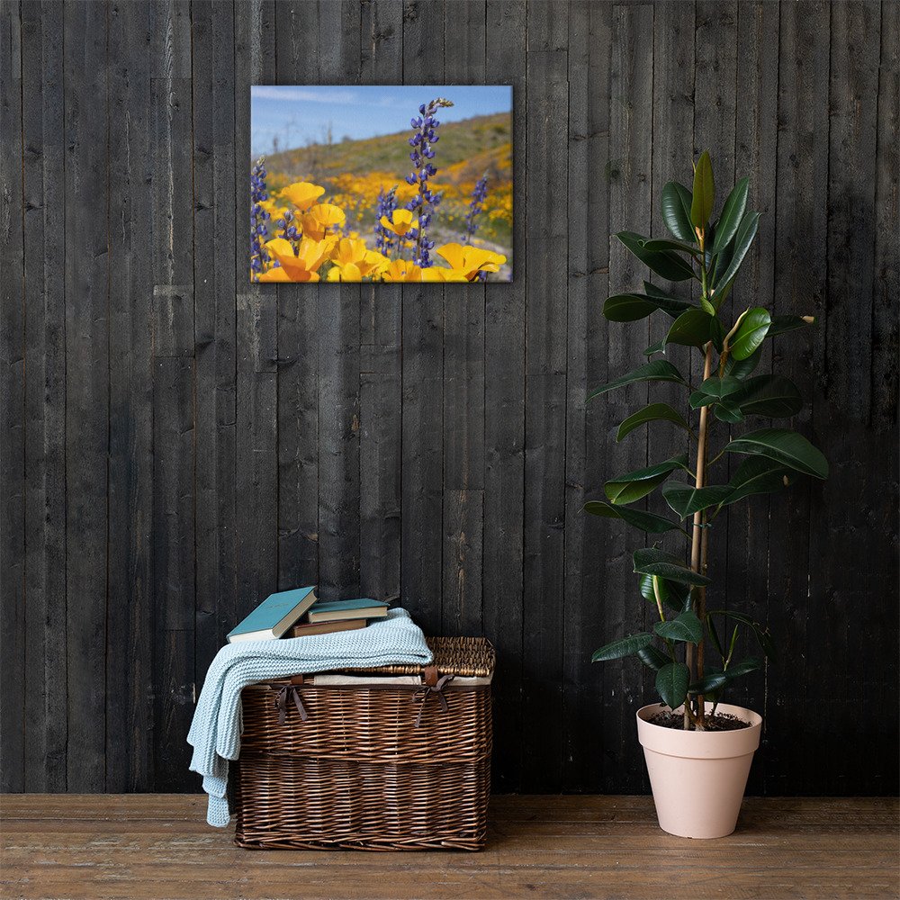 canvas-(in)-18x24-lifestyle-1-65b1d2f5bccda.jpg
