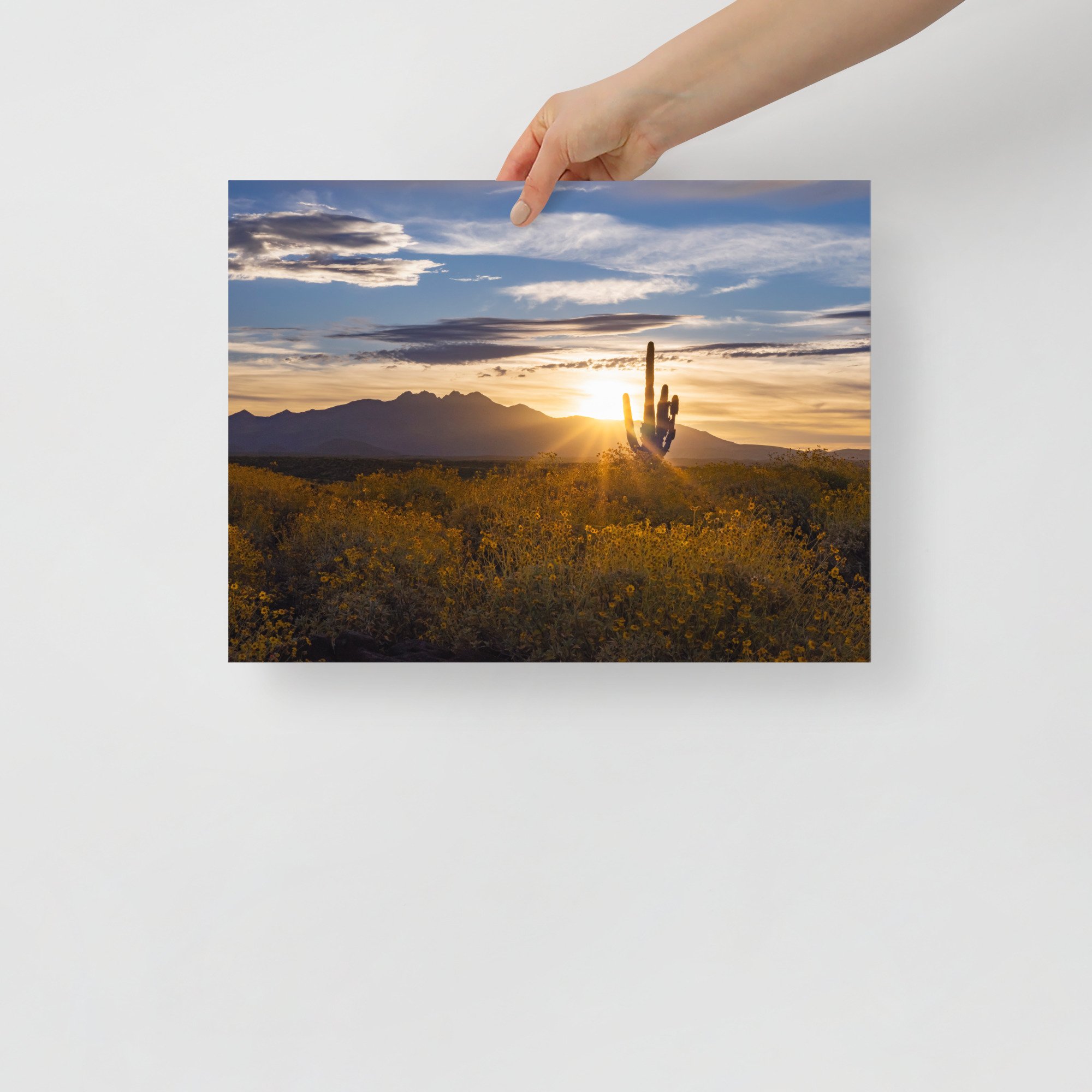 premium-luster-photo-paper-poster-(in)-12x16-front-65b6e2c6ddc04.jpg