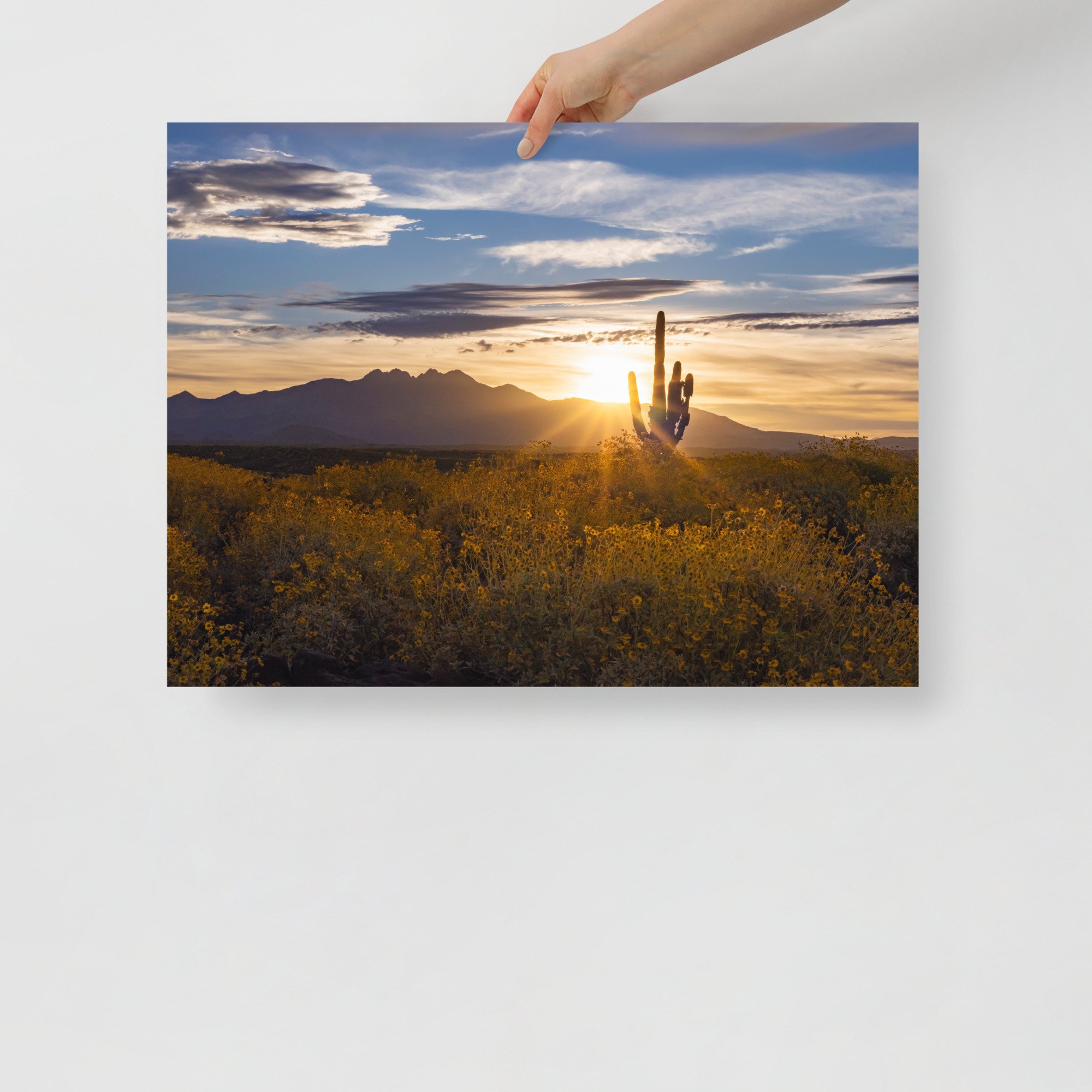 premium-luster-photo-paper-poster-(in)-18x24-front-65b6e2c6ddd74.jpg