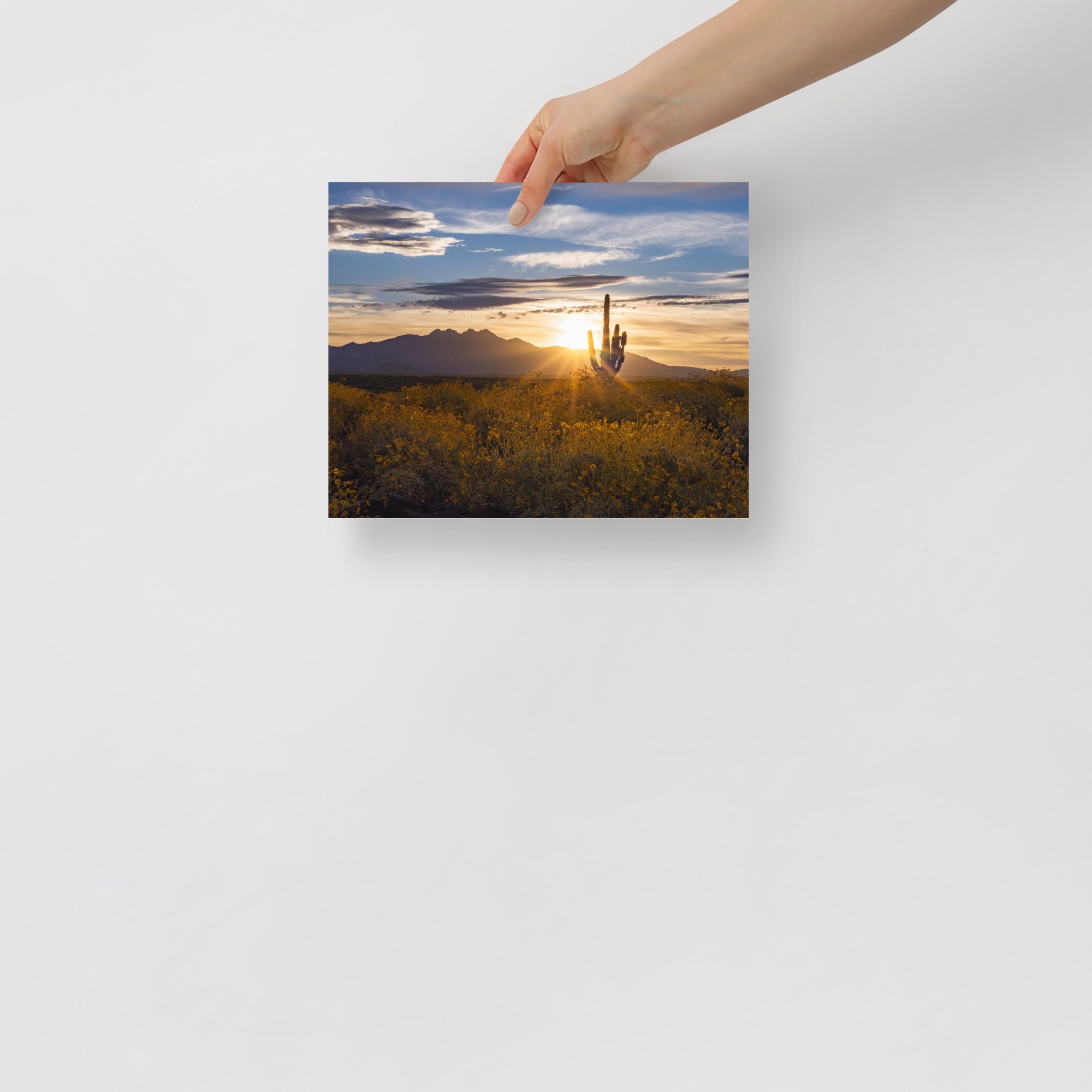 premium-luster-photo-paper-poster-(in)-8x10-front-65b6e2c6ddea5.jpg