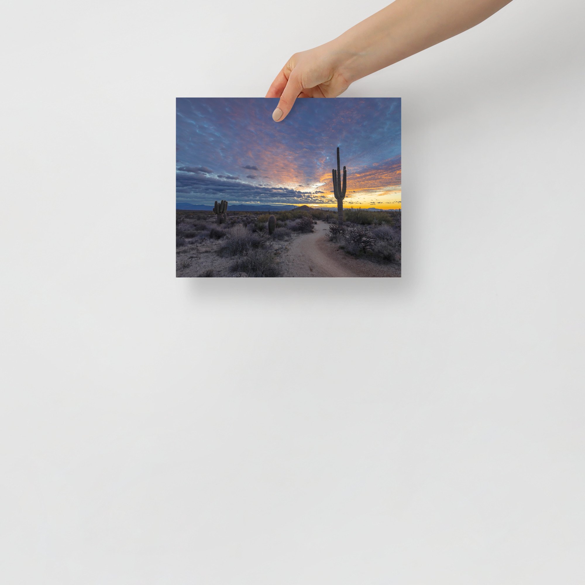 premium-luster-photo-paper-poster-(in)-8x10-front-65c01c1bd53af.jpg
