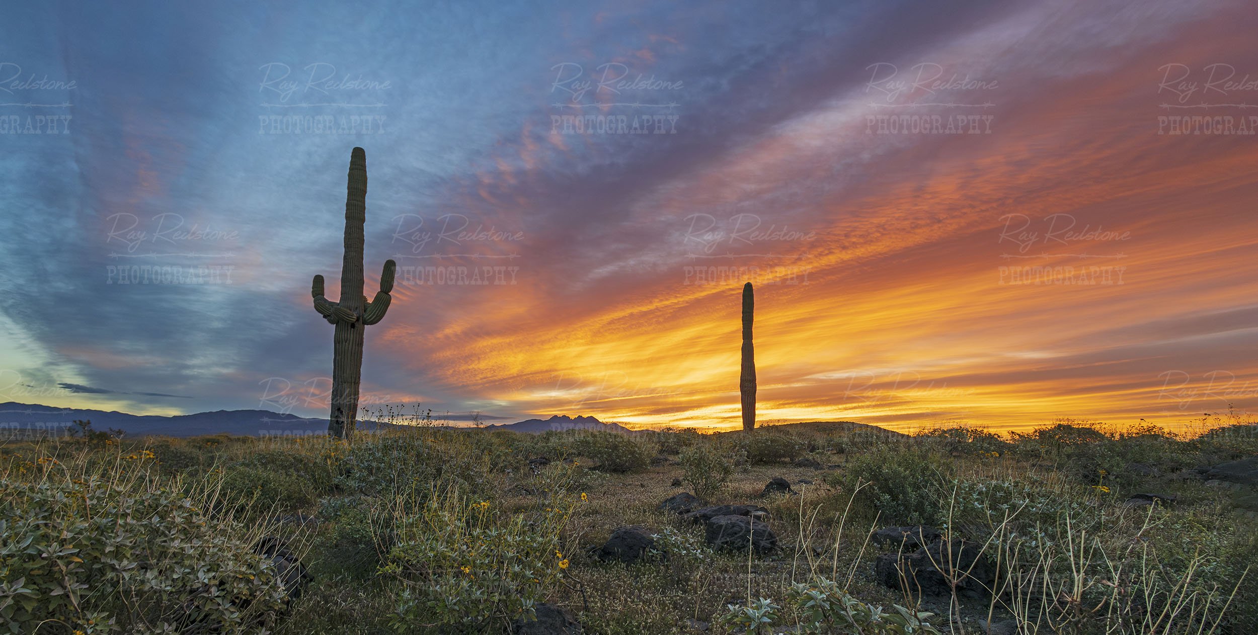 super wide desert sunrise landscape in Arizona