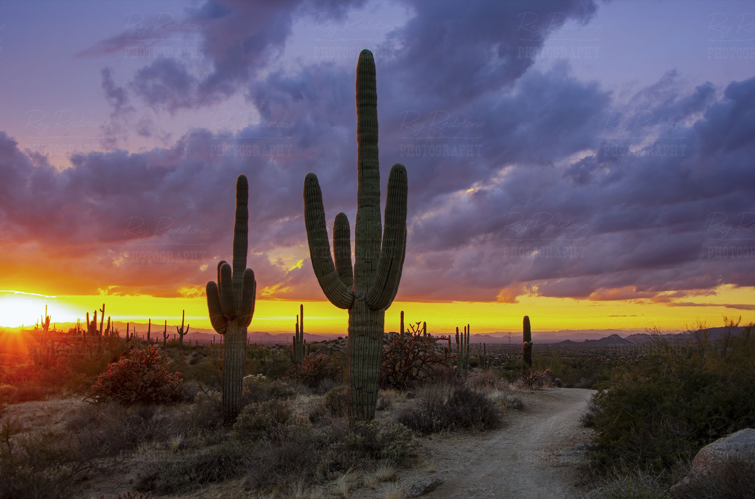 Sunset On Hiking Trail