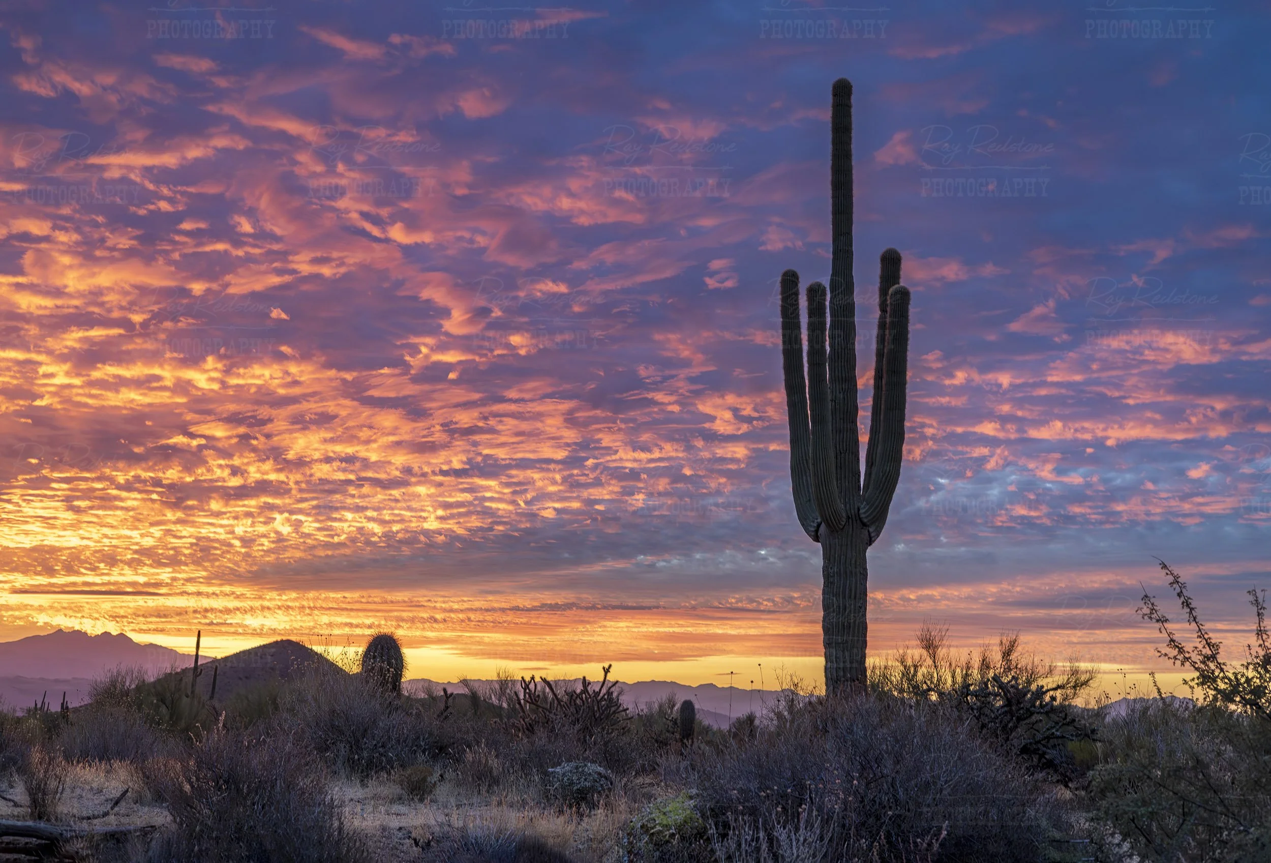 Sunrise In The Scottsdale McDowell Sonoran Preserve