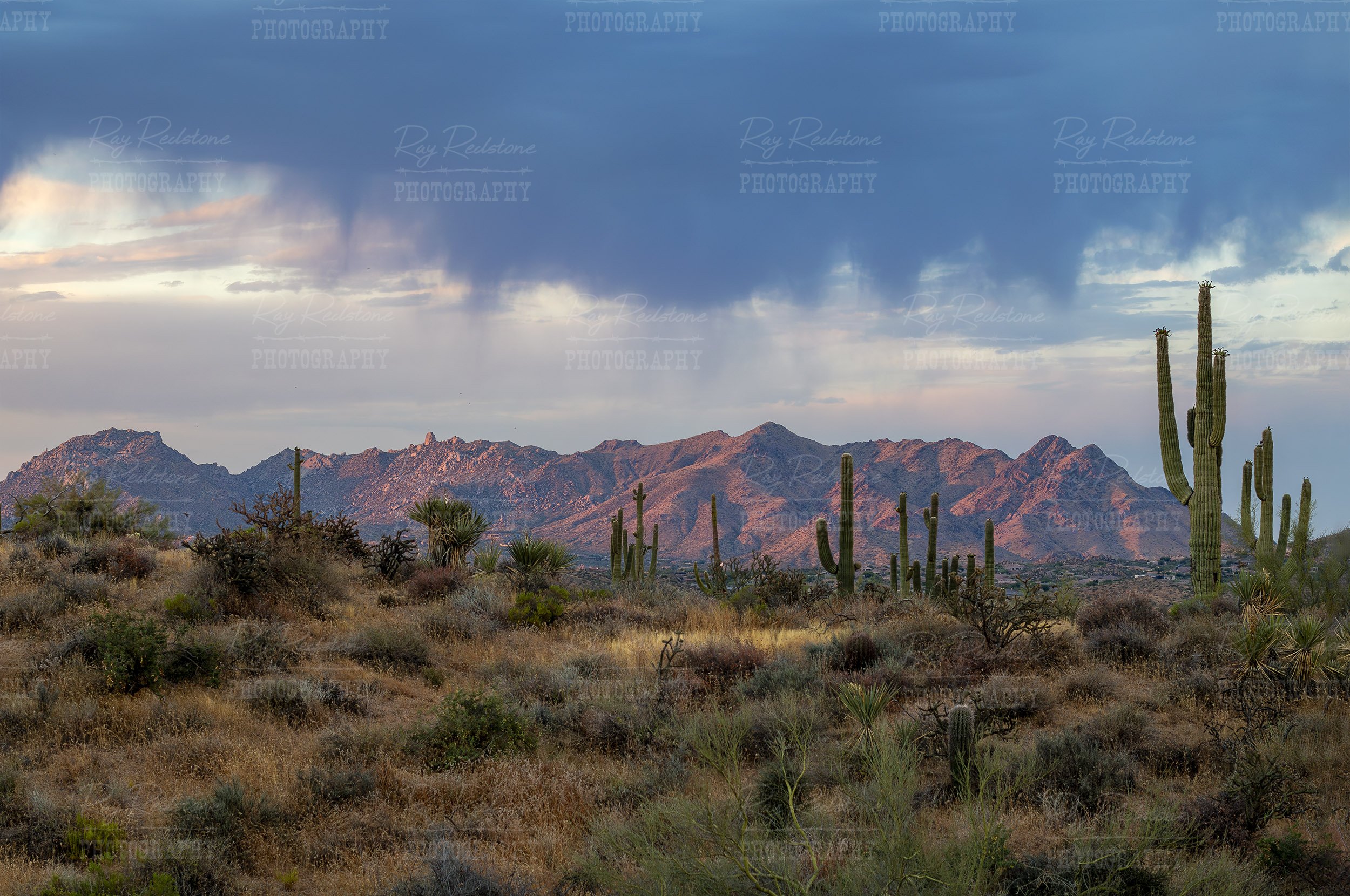 mcdowell-mountains-scottsdale