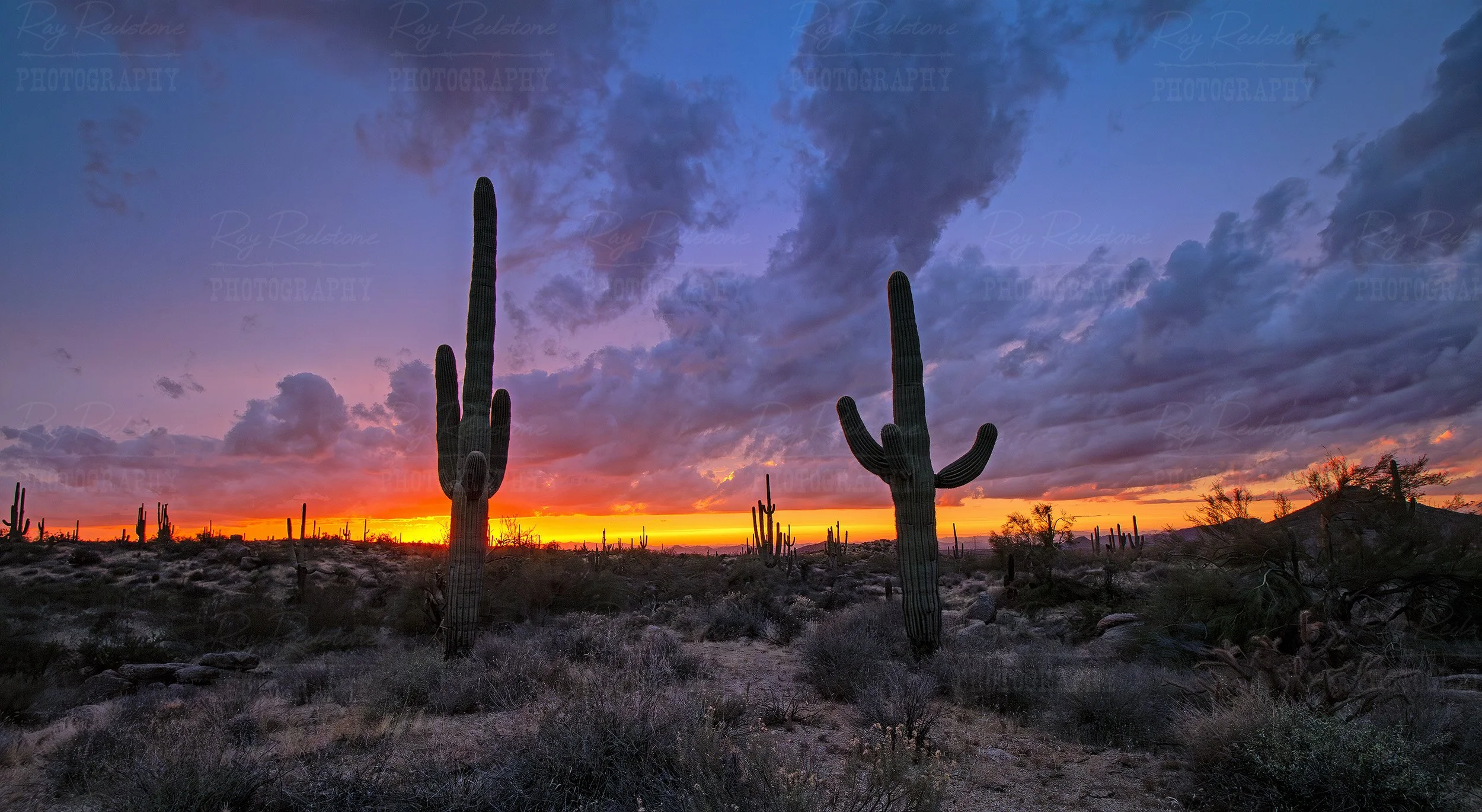 Arizona Sonoran Desert Drone Footage for Sale &amp; Commercial Licensing
