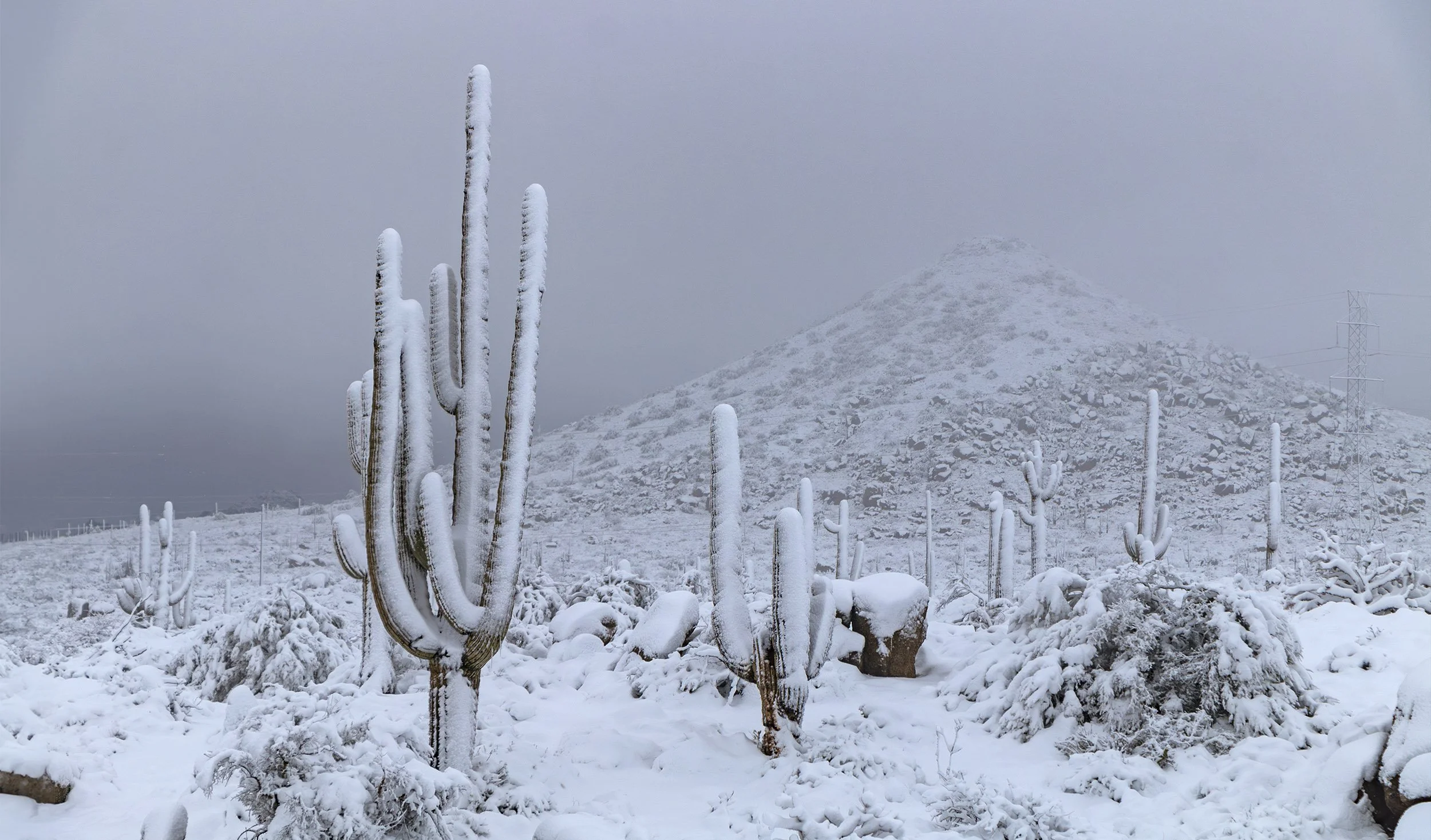 Does It Snow in Phoenix, AZ? How to See and Photograph Snow Near Phoenix
