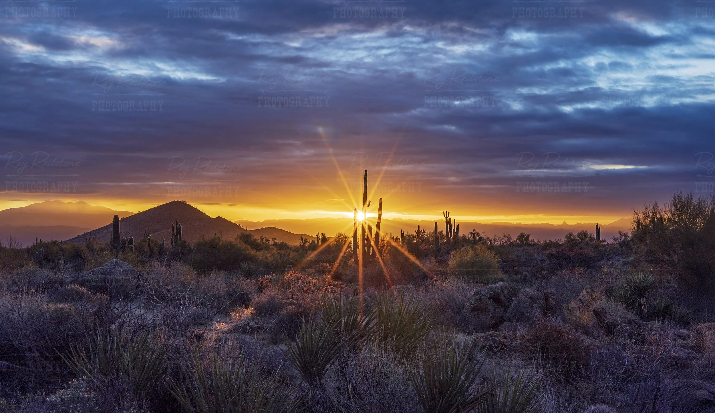 Brilliant Sun Star Landscape In The Arizona Desert