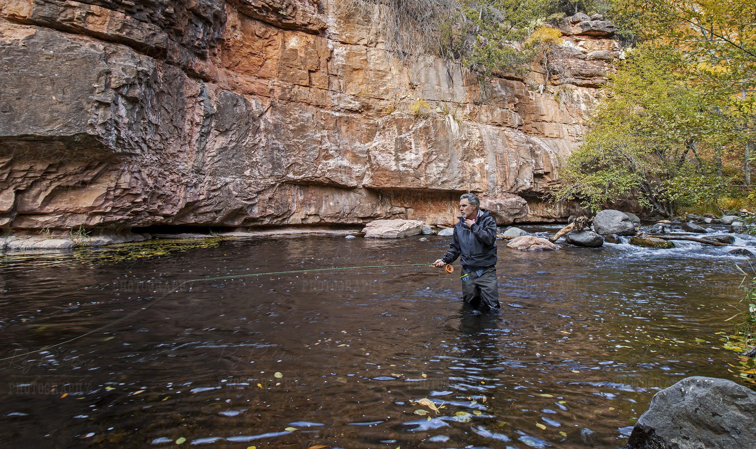 Man Wading & Fly-Fishing On Oak Creek In Sedona