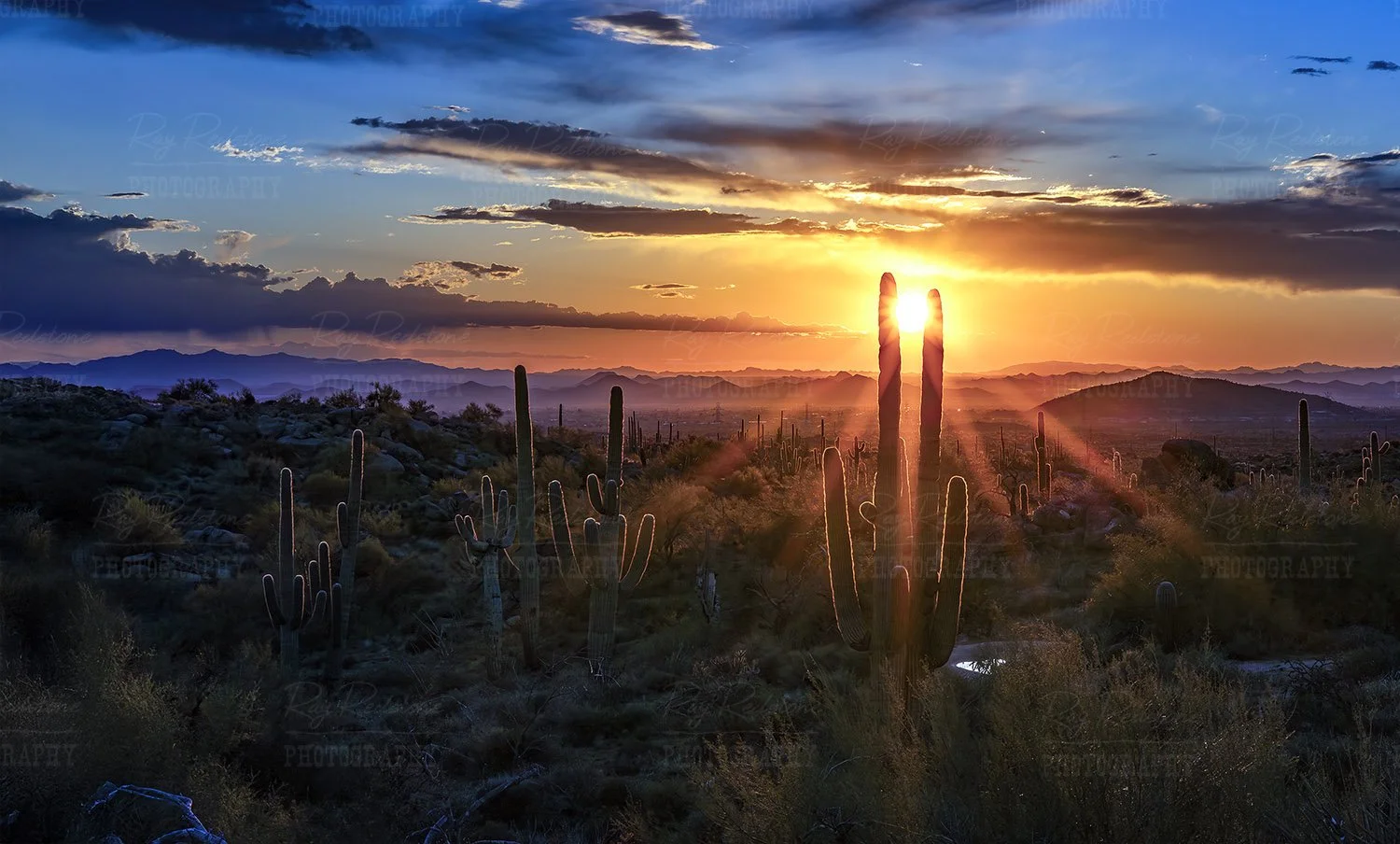 Desert sunburst