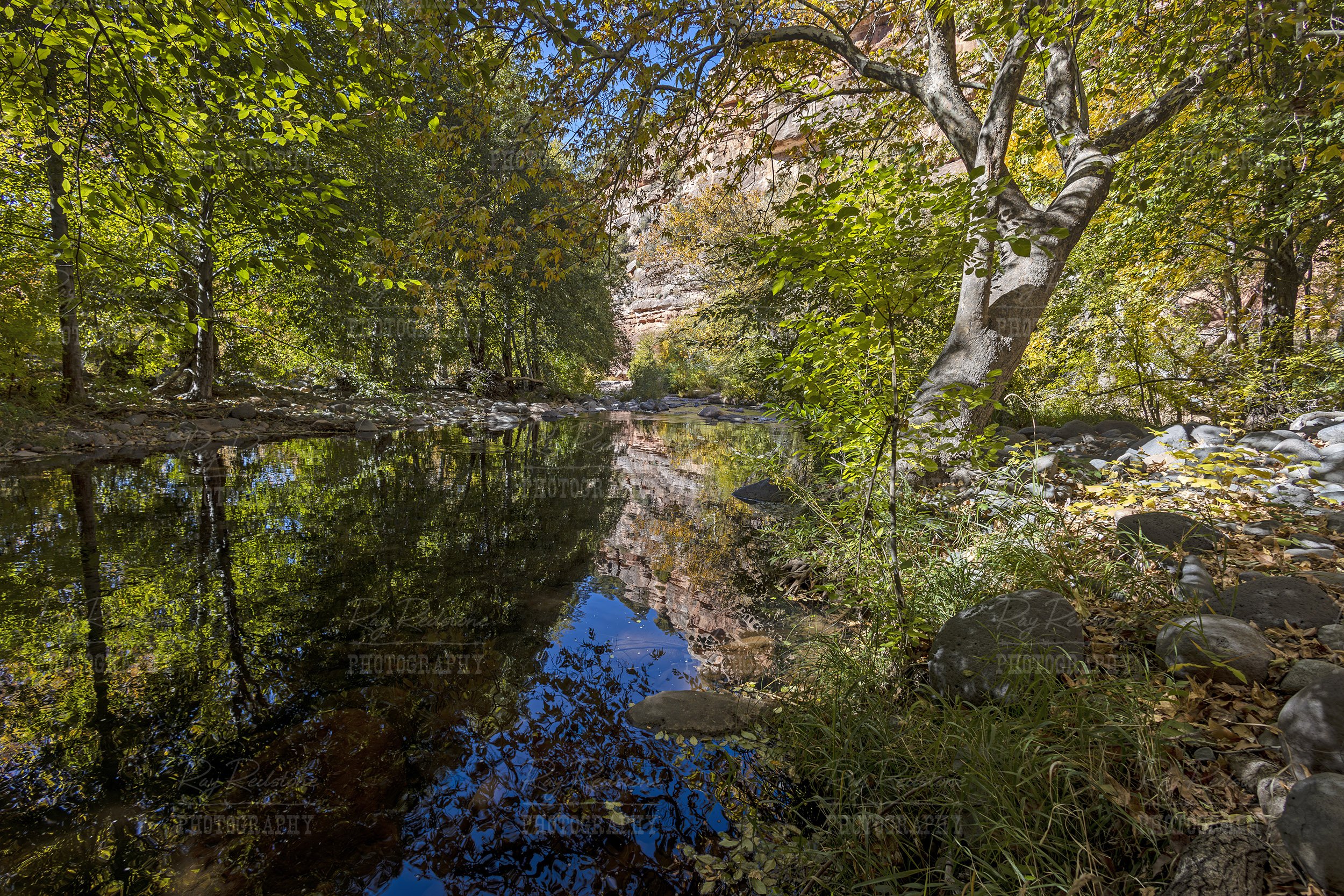 Fall Colors Reflect On Oak Creek In Sedona