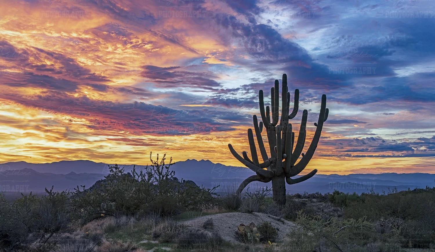 Classic AZ desert sunrise scene