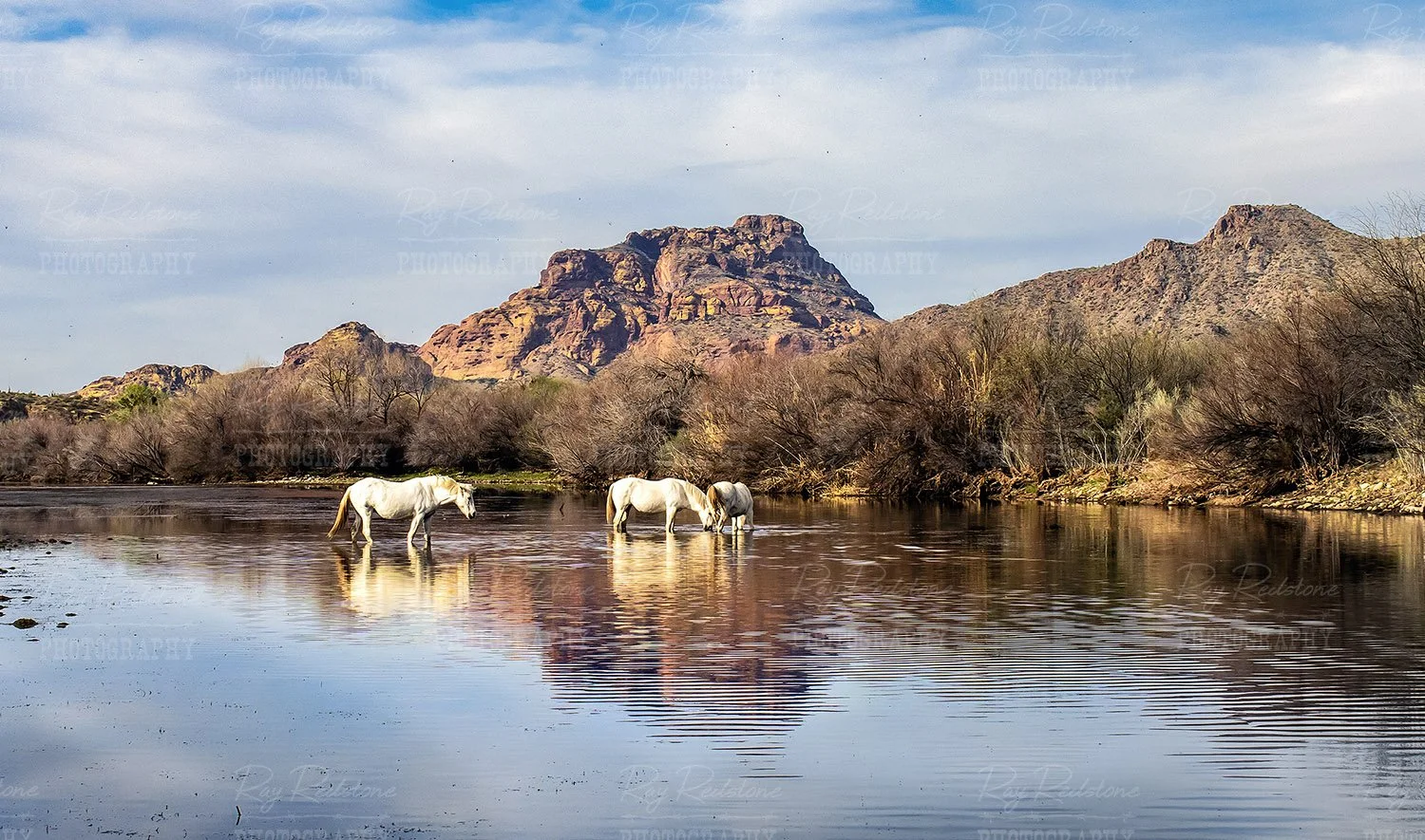 Salt River reflection
