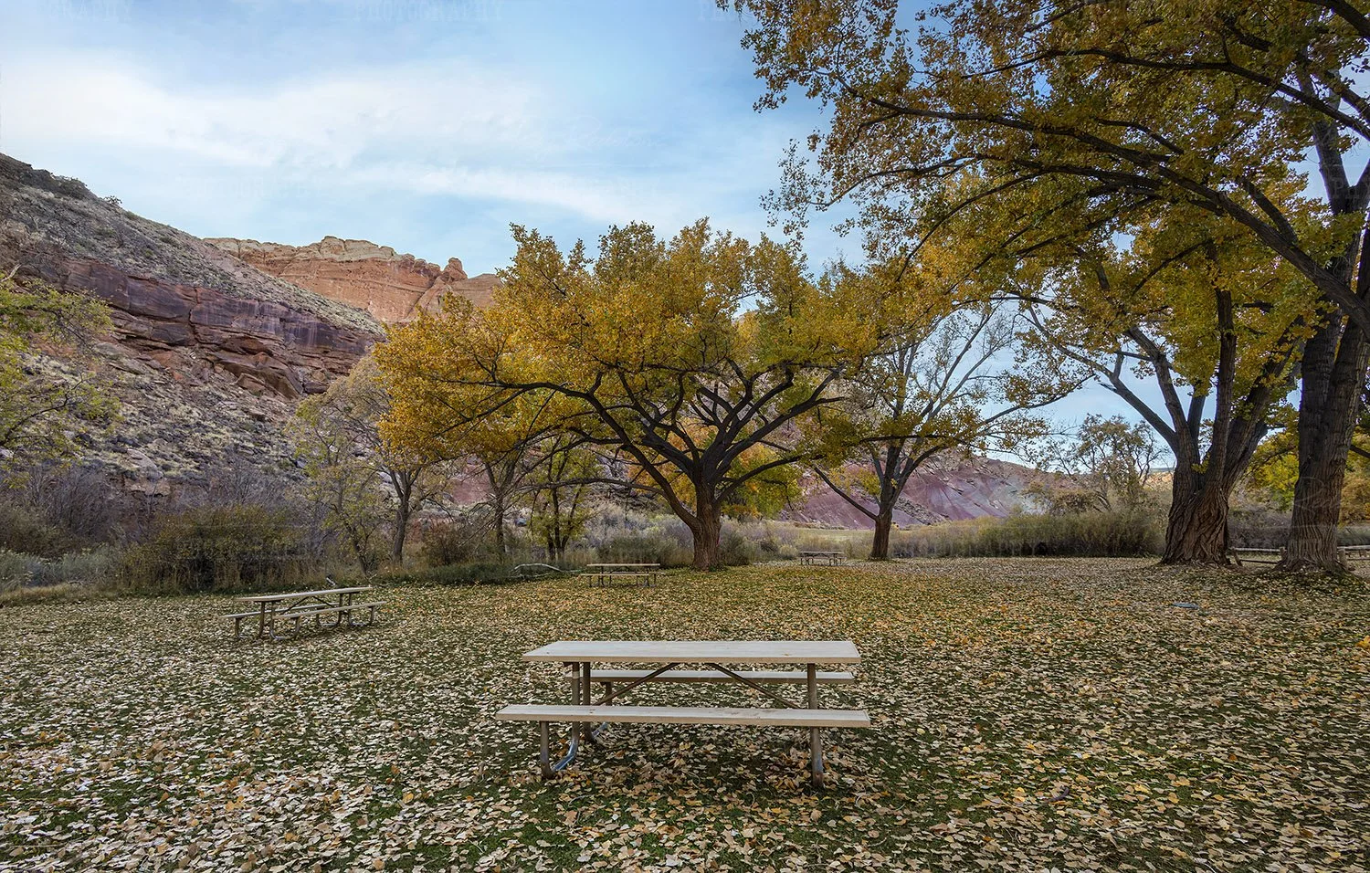 Picnic area Capital Reef Park.